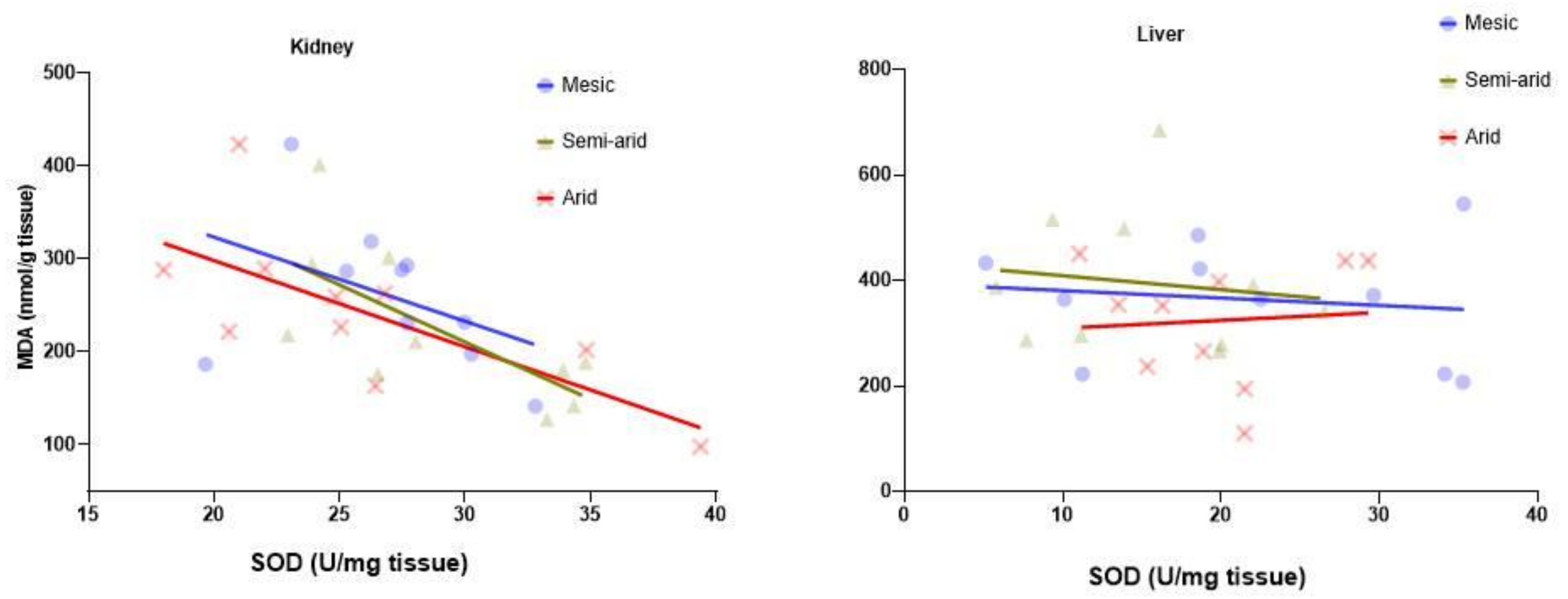 Antioxidants 11 02290 g005 Antioxidants 11 02290 g005