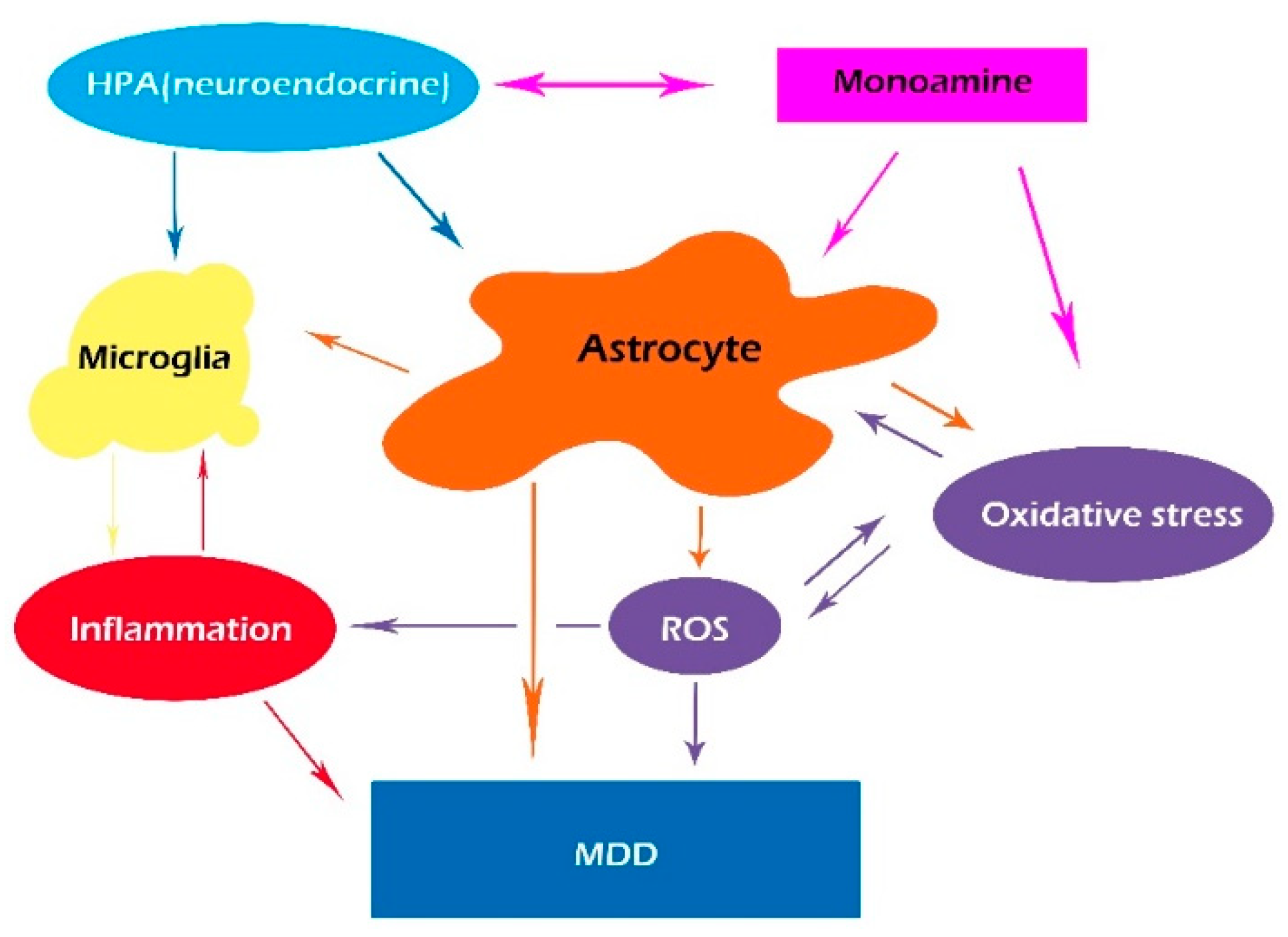 Antioxidants 11 02296 g002 Antioxidants 11 02296 g002