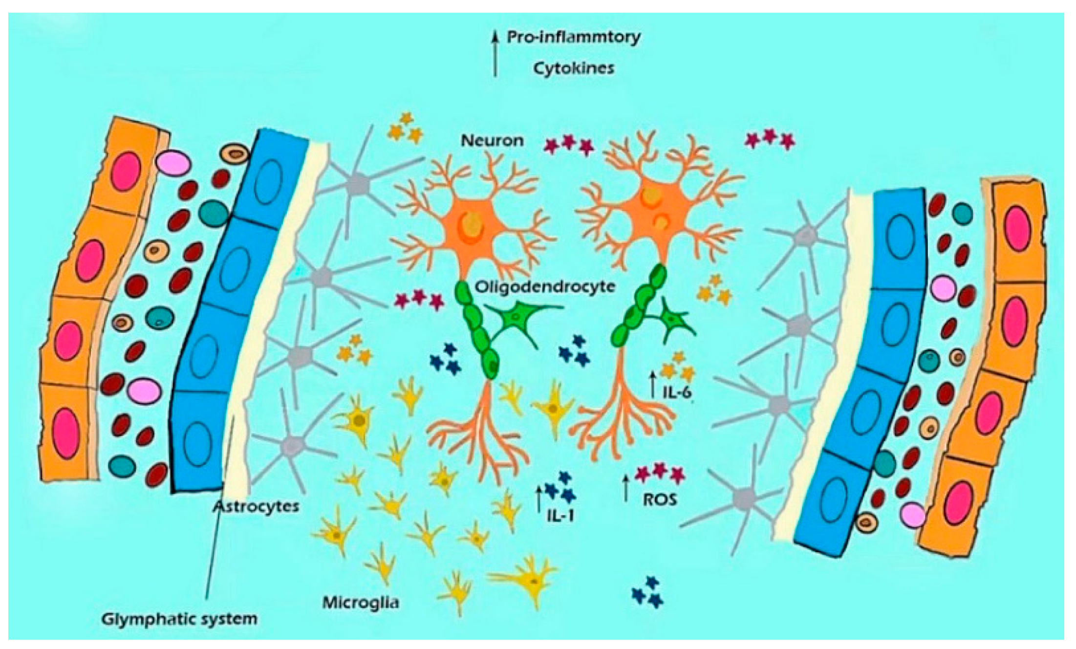 Antioxidants 11 02296 g004 Antioxidants 11 02296 g004