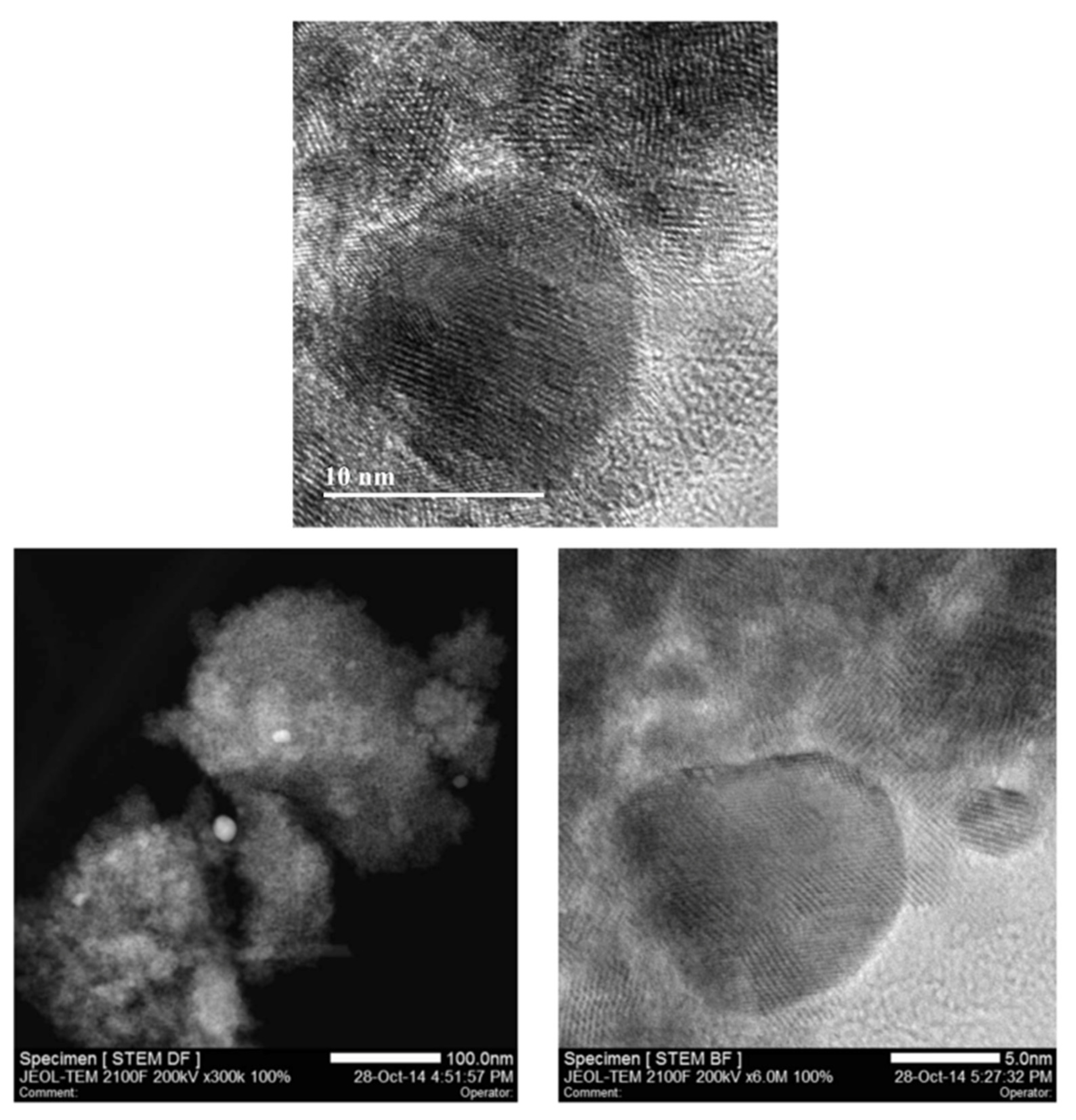 Antioxidants 11 02297 g001