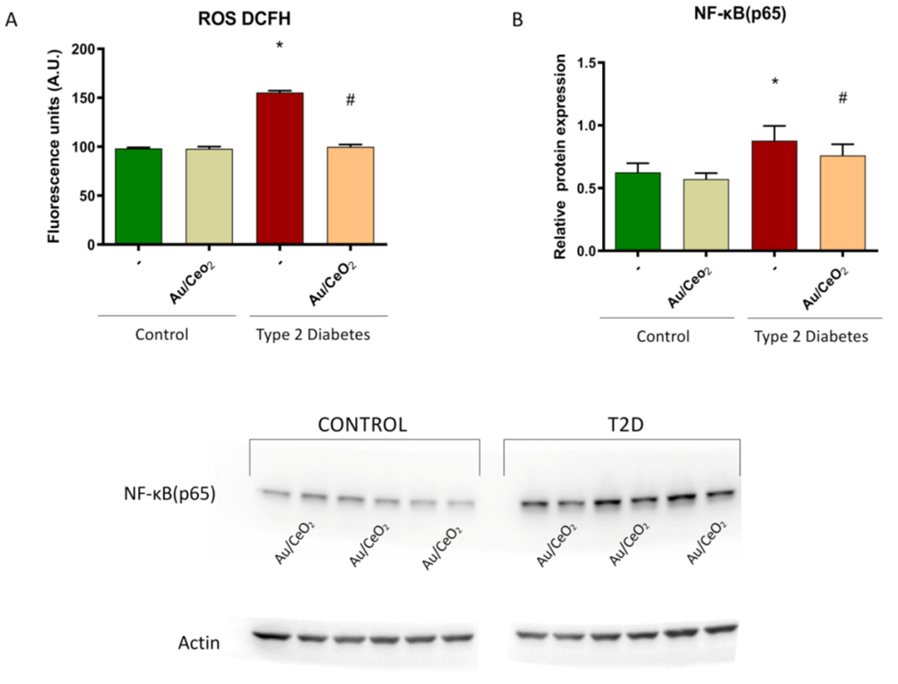 Antioxidants 11 02297 g009