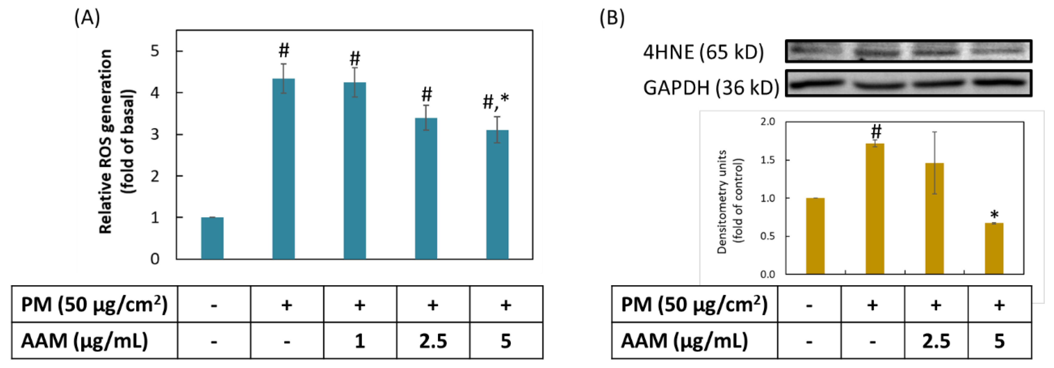 Antioxidants 11 02304 g003 Antioxidants 11 02304 g003