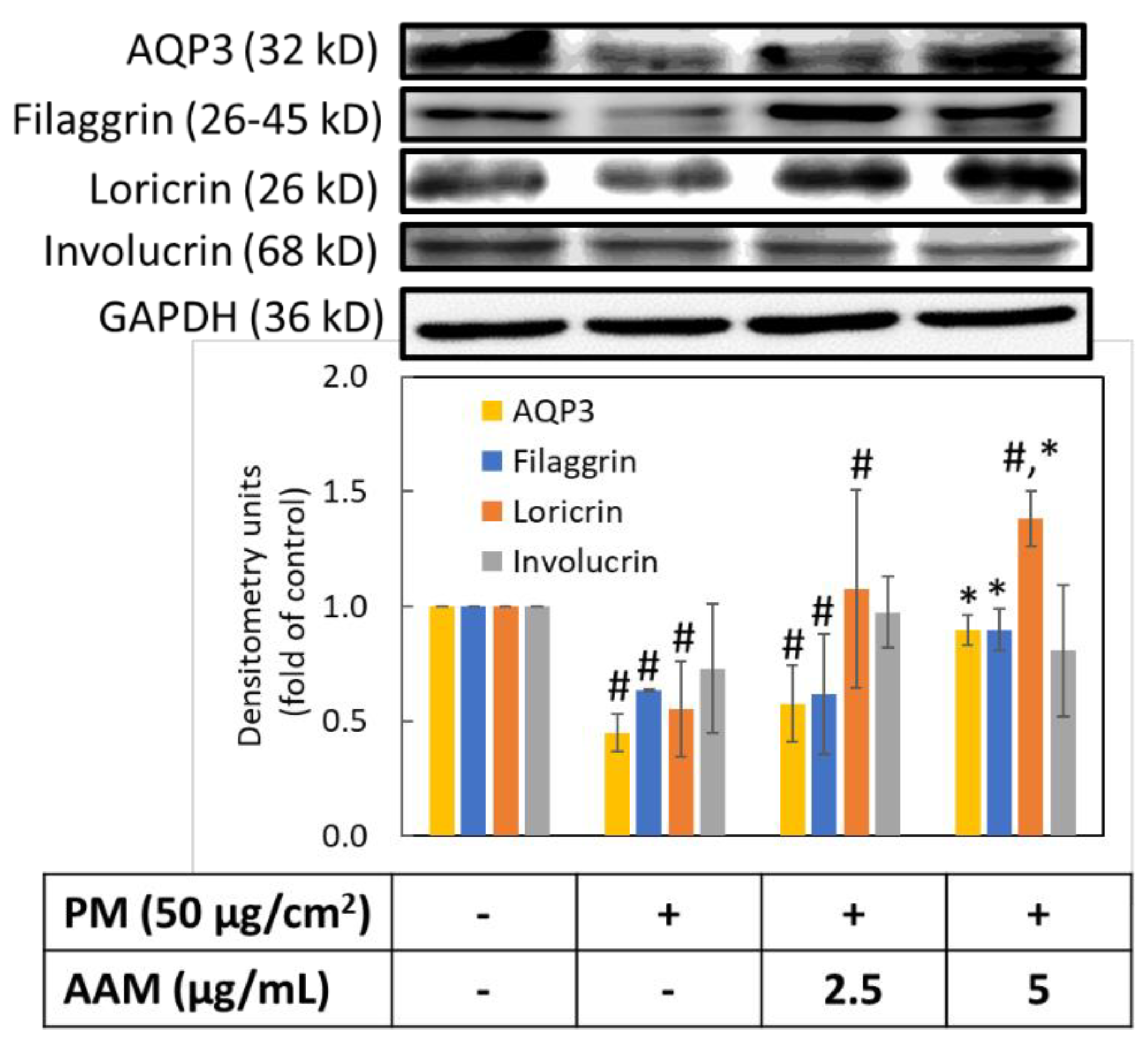 Antioxidants 11 02304 g007 Antioxidants 11 02304 g007