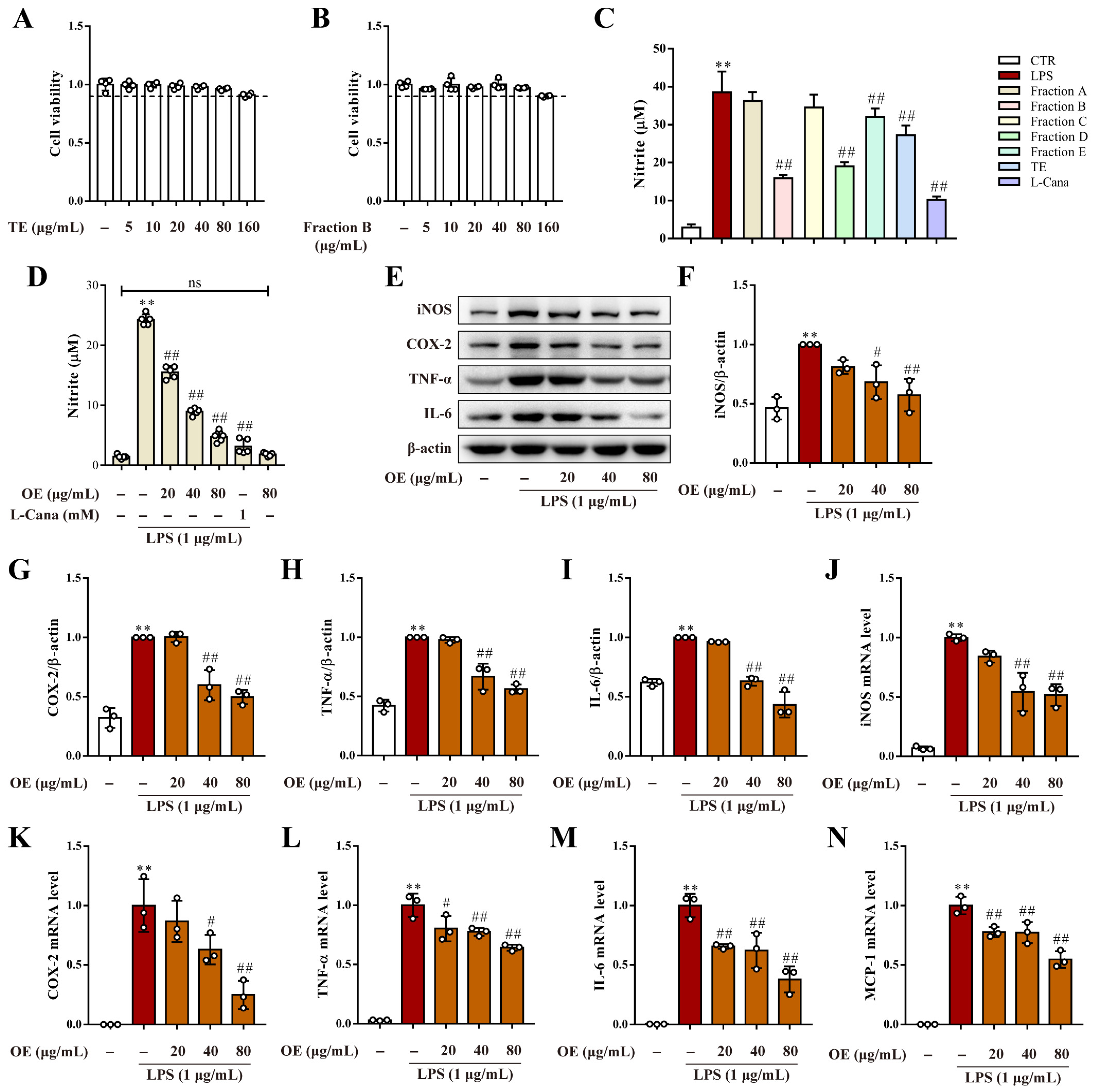 Antioxidants 11 02307 g001