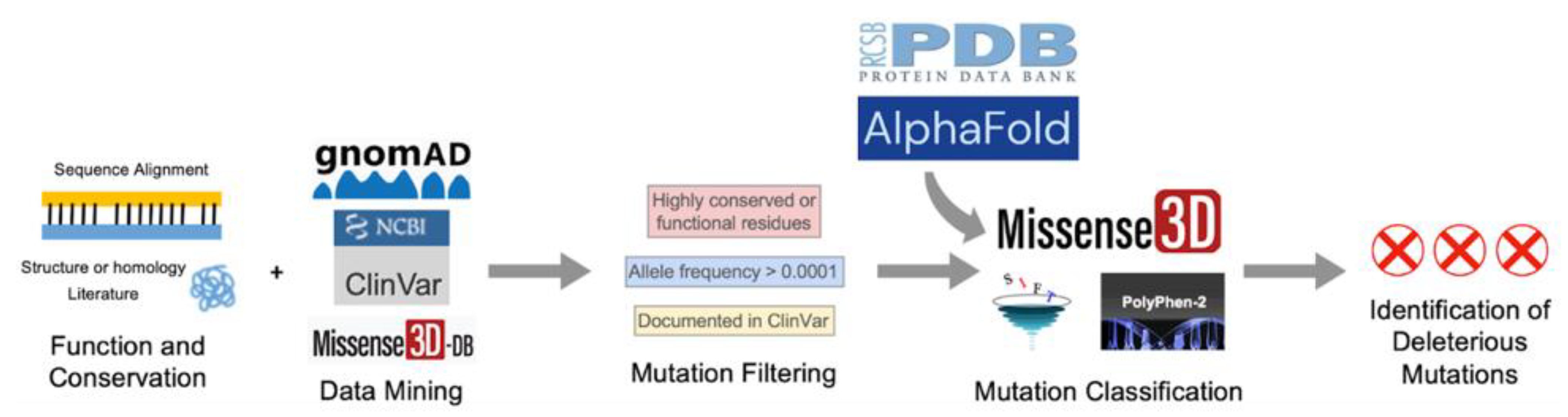 Antioxidants 11 02308 g002 Antioxidants 11 02308 g002
