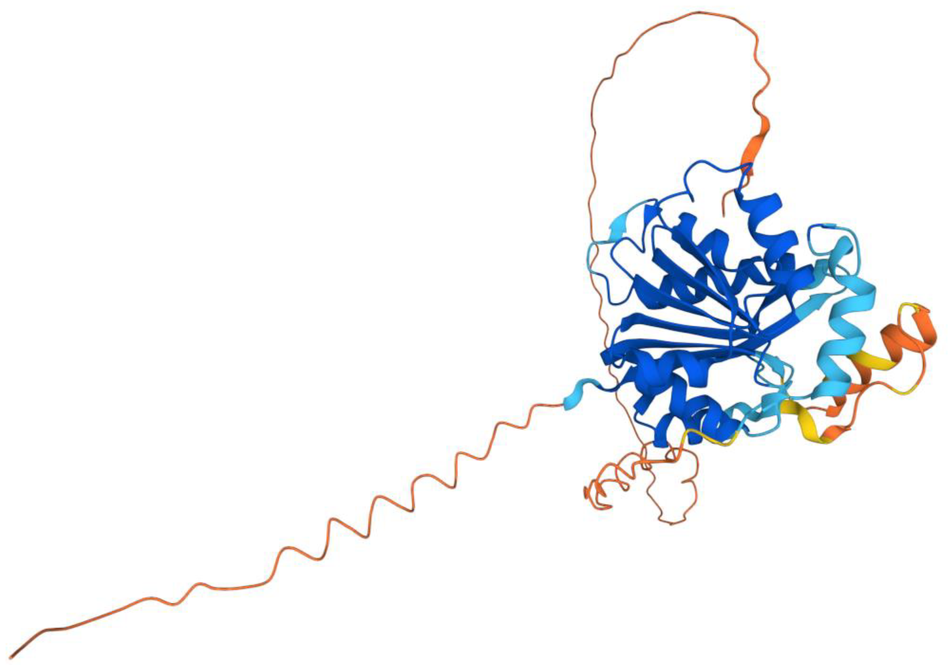 Antioxidants 11 02308 g004 Antioxidants 11 02308 g004