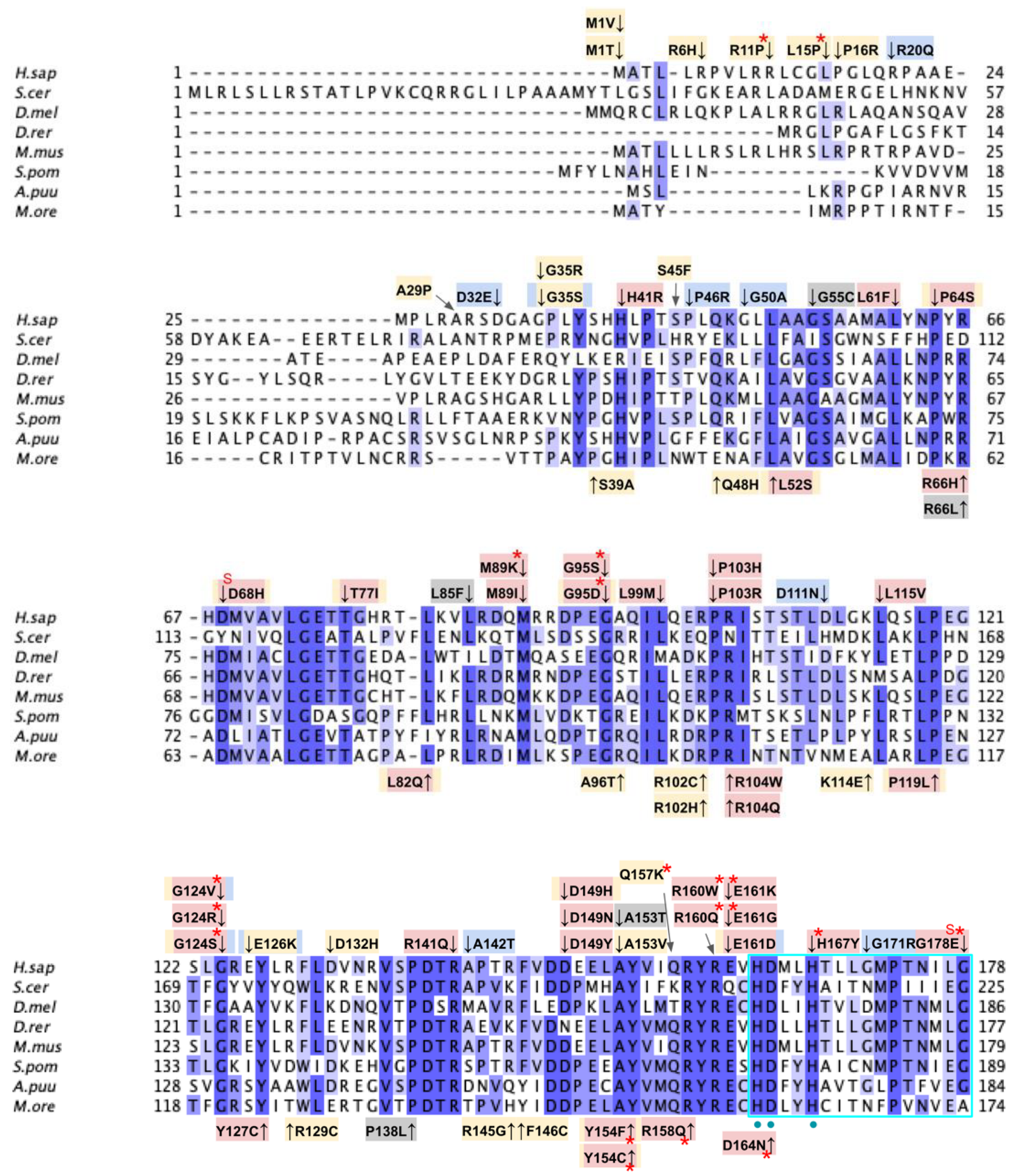 Antioxidants 11 02308 g009a Antioxidants 11 02308 g009a