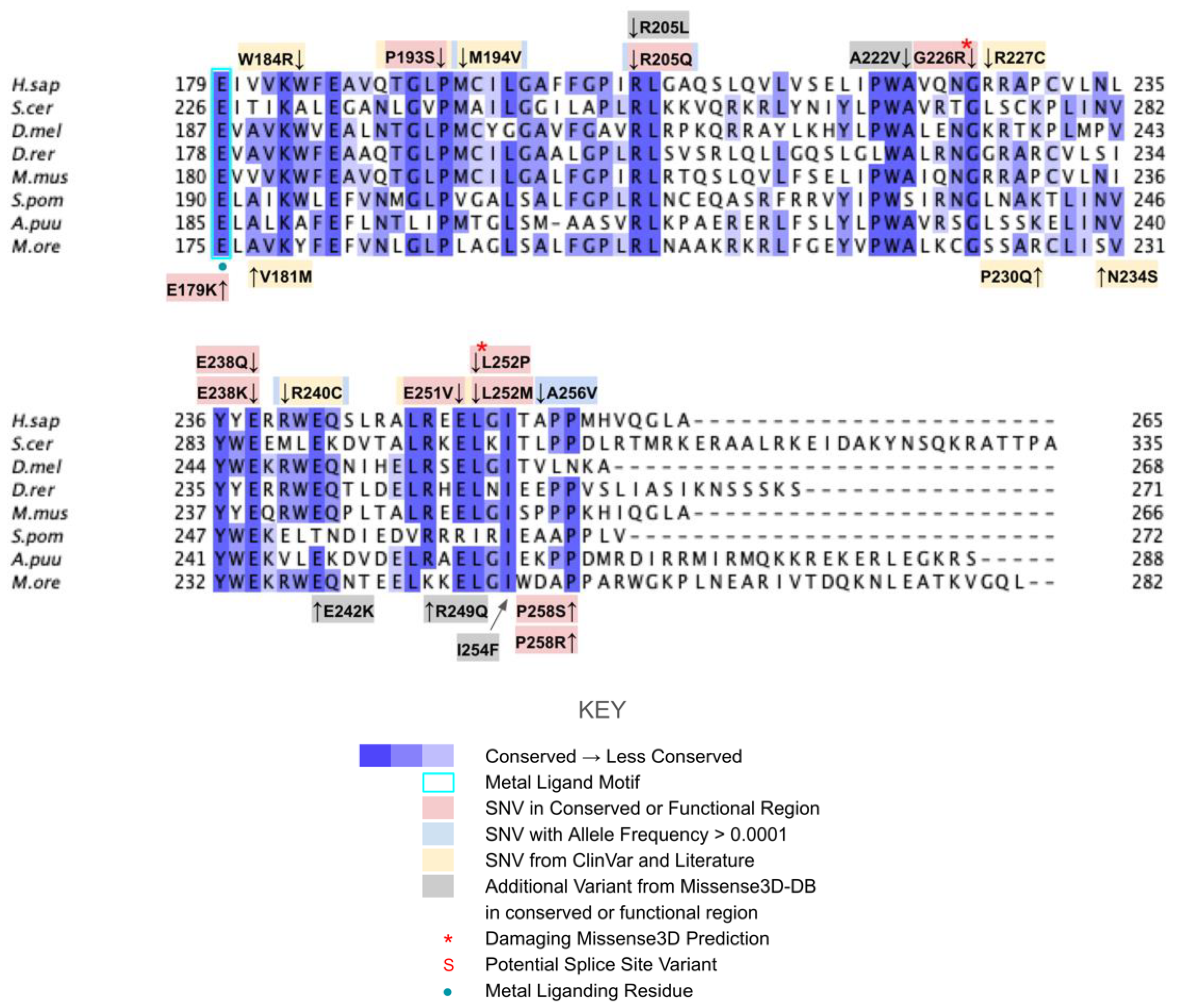 Antioxidants 11 02308 g009b Antioxidants 11 02308 g009b