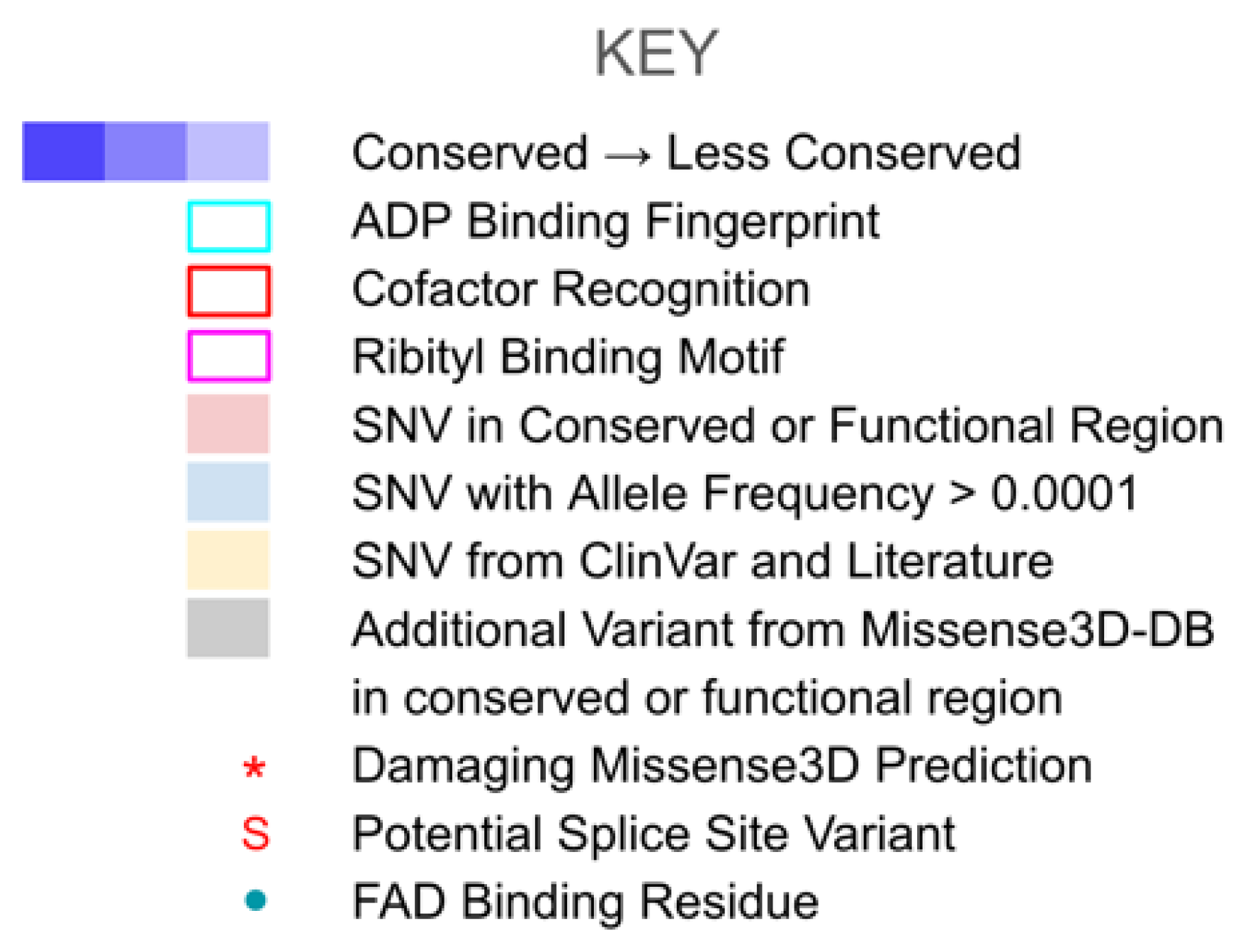 Antioxidants 11 02308 g019d Antioxidants 11 02308 g019d