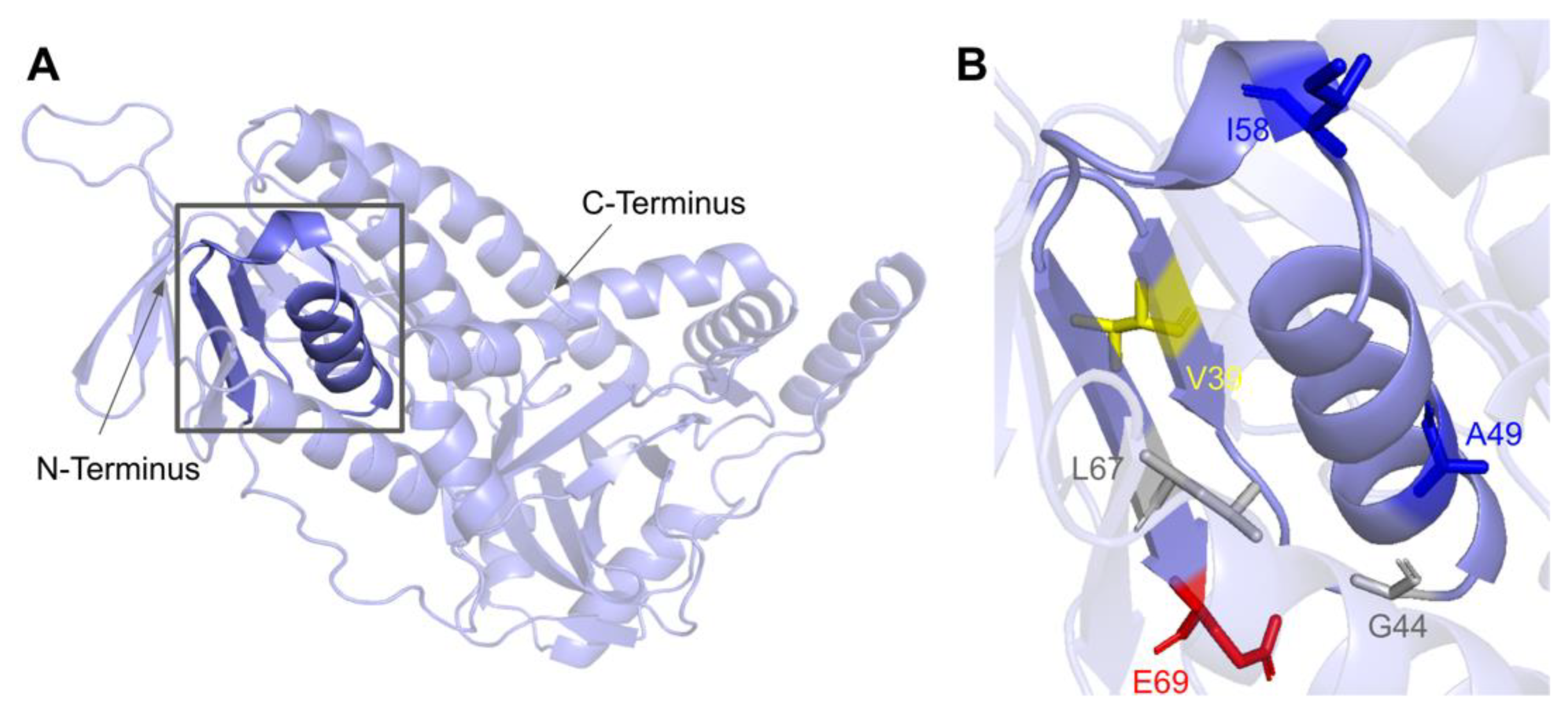 Antioxidants 11 02308 g021 Antioxidants 11 02308 g021