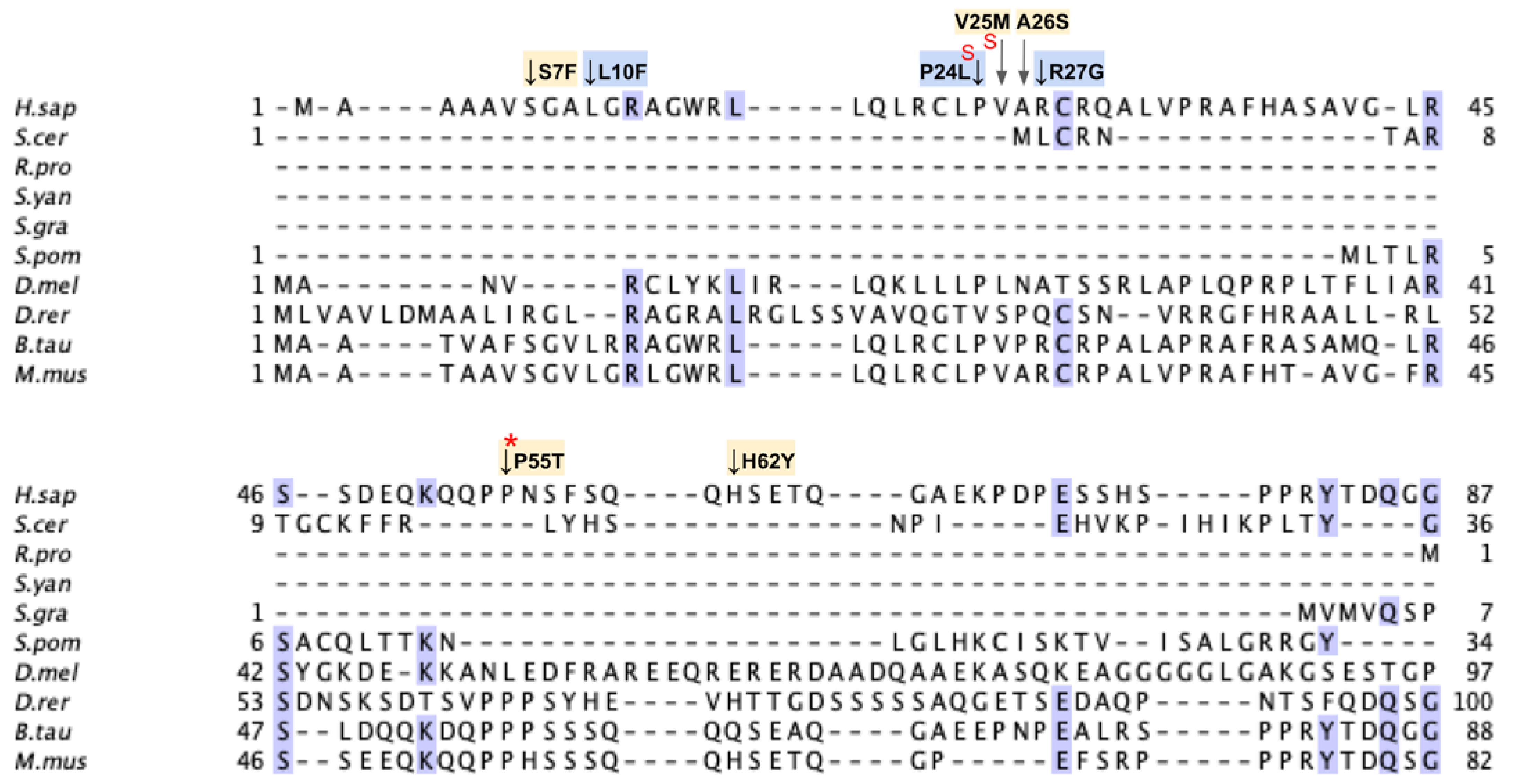 Antioxidants 11 02308 g028a Antioxidants 11 02308 g028a