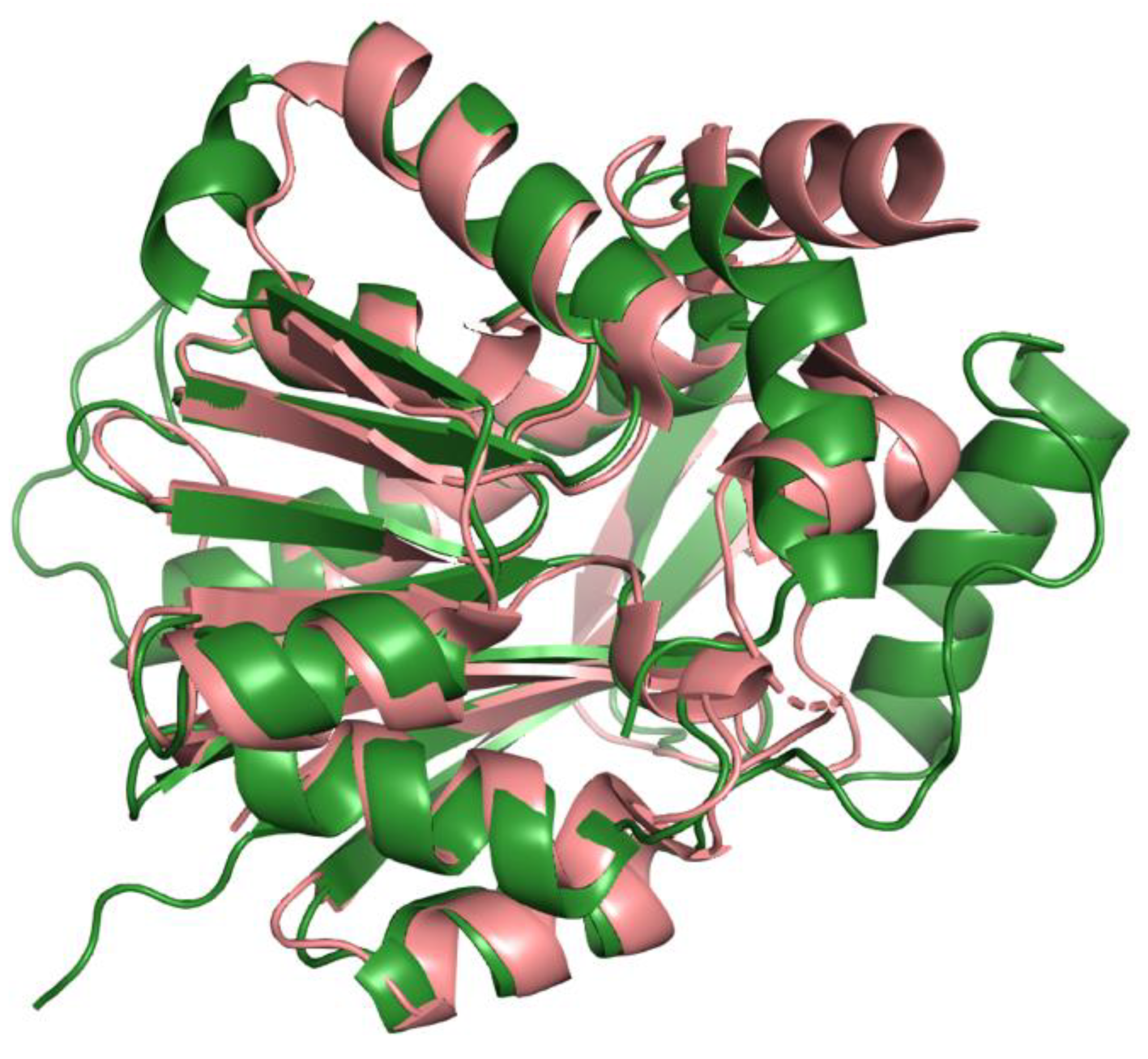 Antioxidants 11 02308 g0a1 Antioxidants 11 02308 g0a1