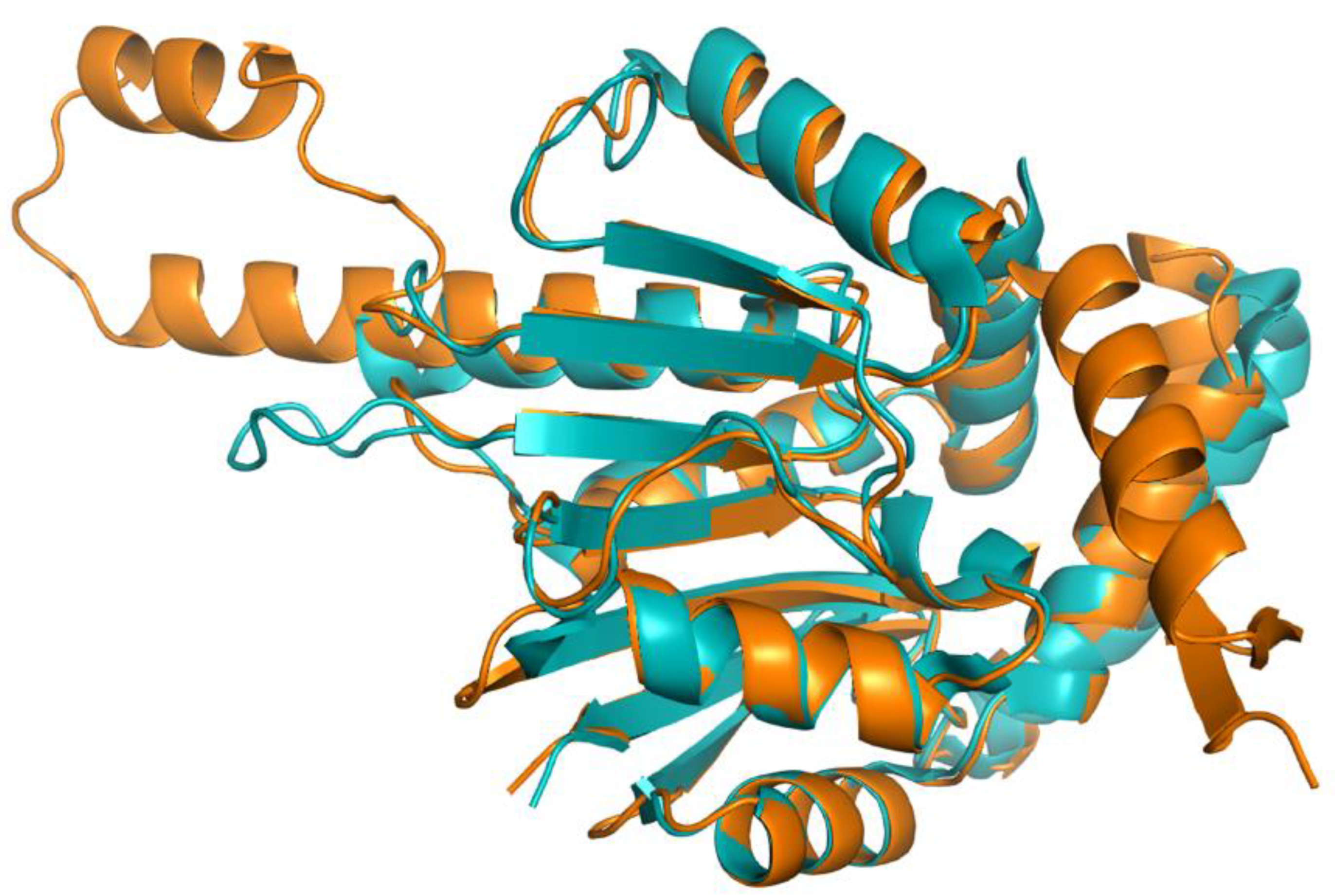 Antioxidants 11 02308 g0a3 Antioxidants 11 02308 g0a3
