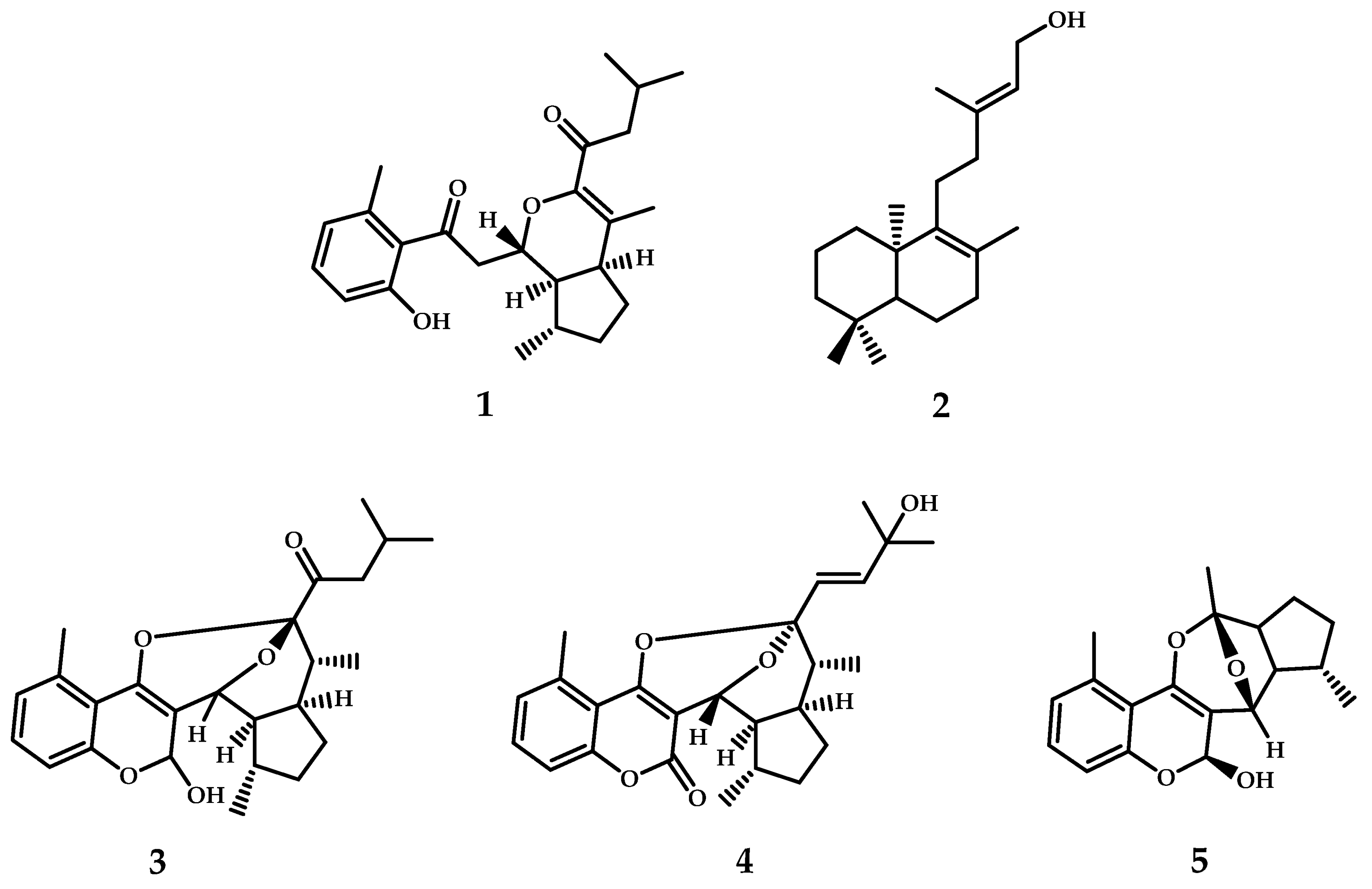 Antioxidants 11 02313 g001 Antioxidants 11 02313 g001