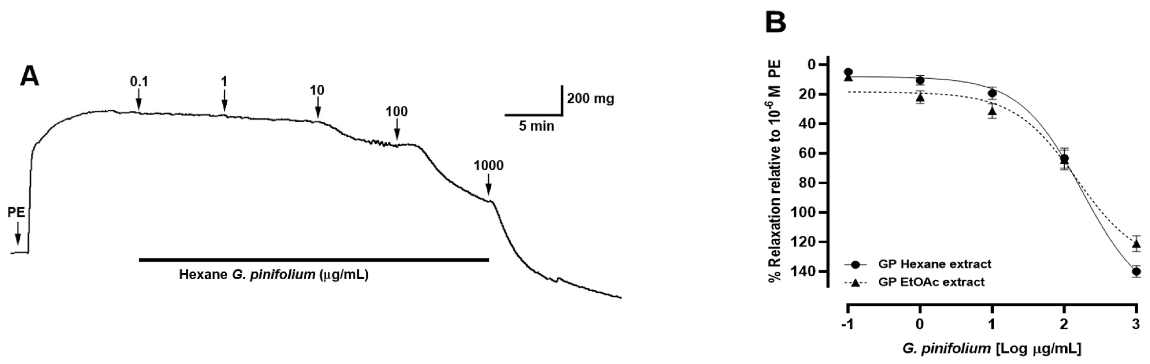 Antioxidants 11 02313 g004 Antioxidants 11 02313 g004