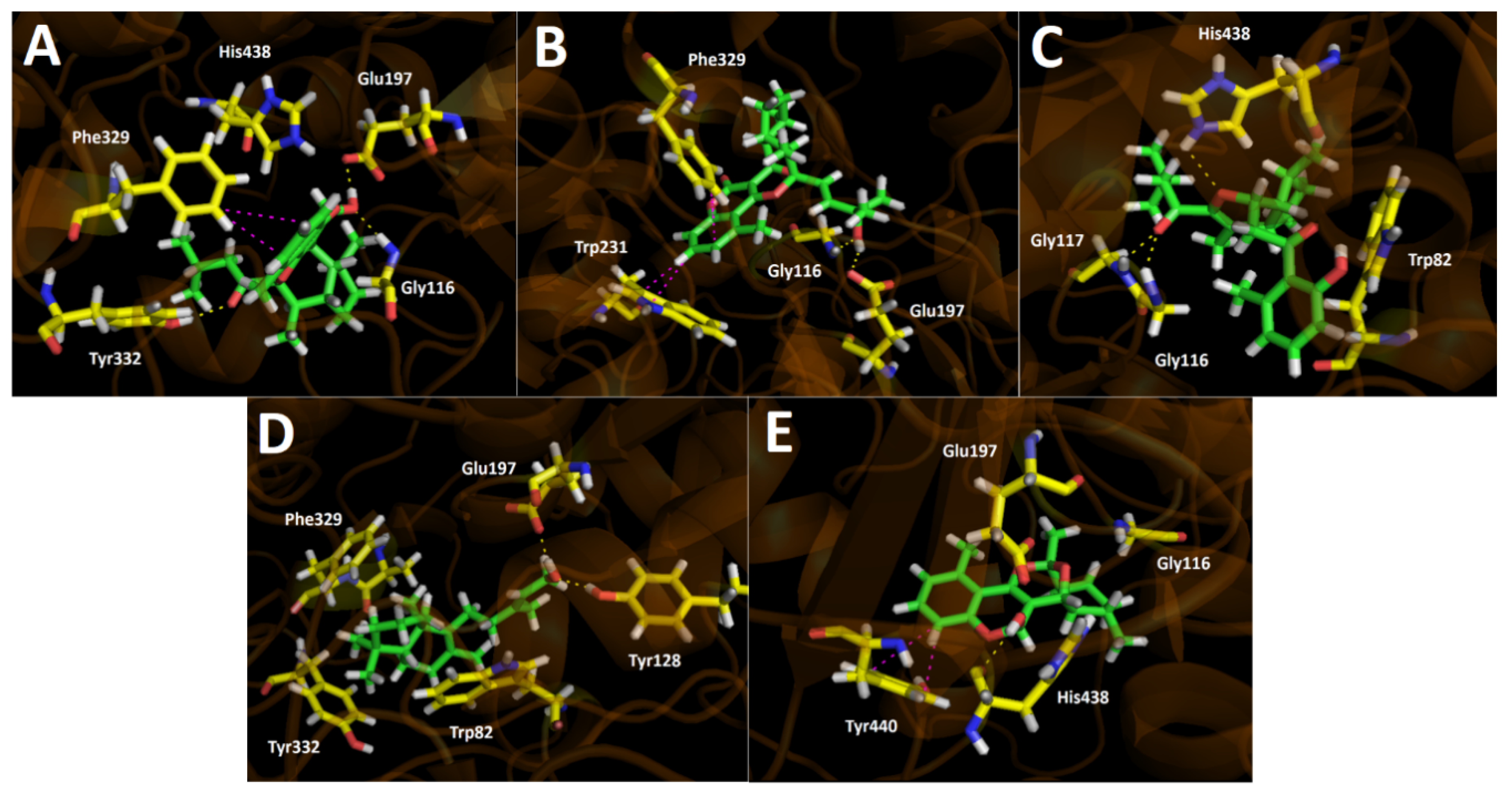Antioxidants 11 02313 g007 Antioxidants 11 02313 g007