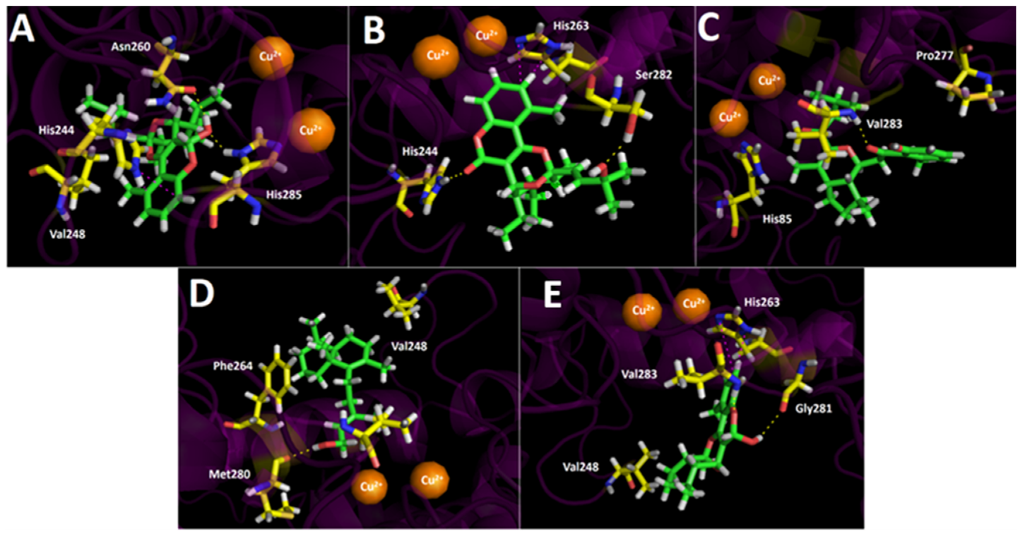 Antioxidants 11 02313 g008 Antioxidants 11 02313 g008