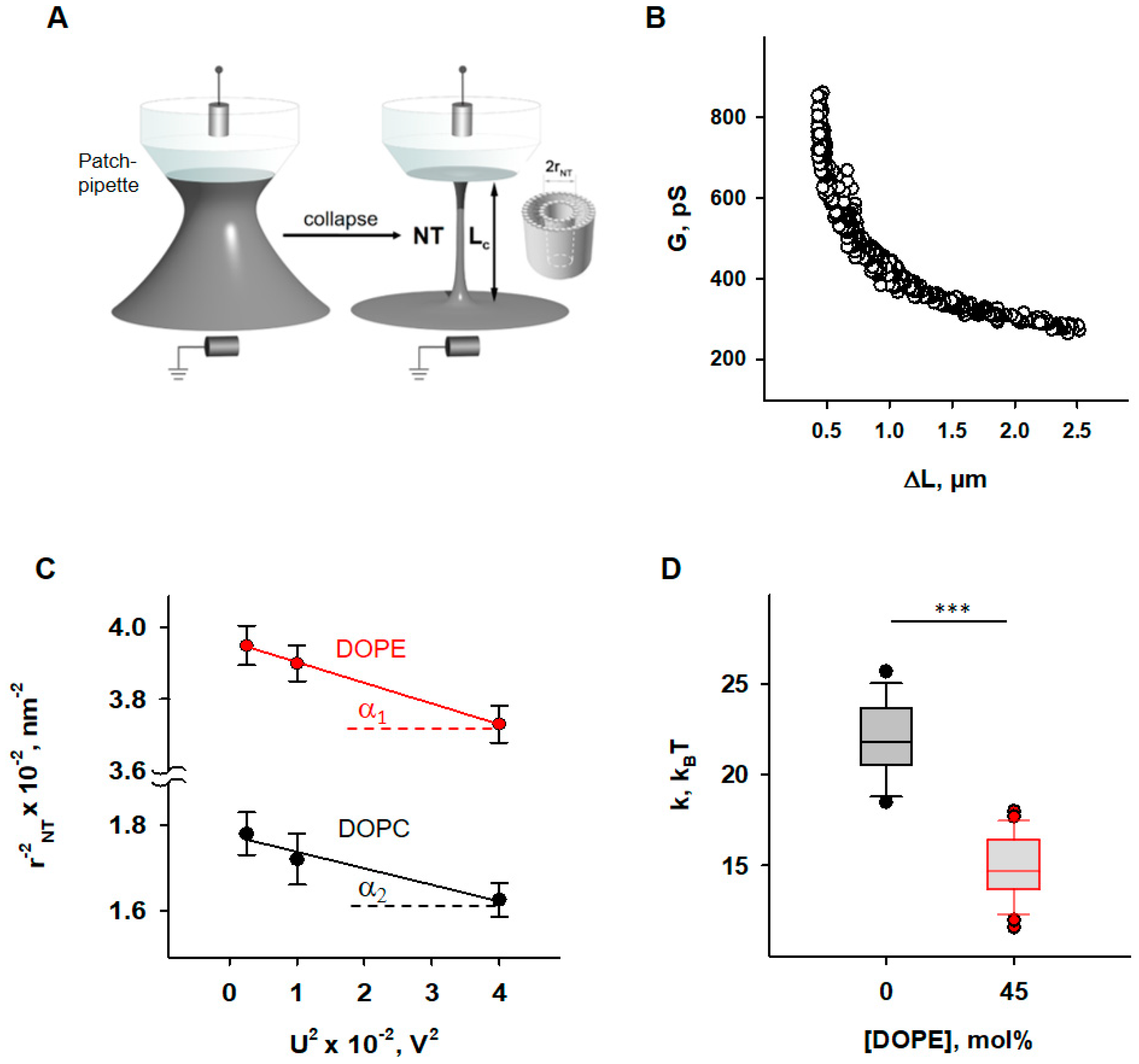 Antioxidants 11 02314 g001 Antioxidants 11 02314 g001