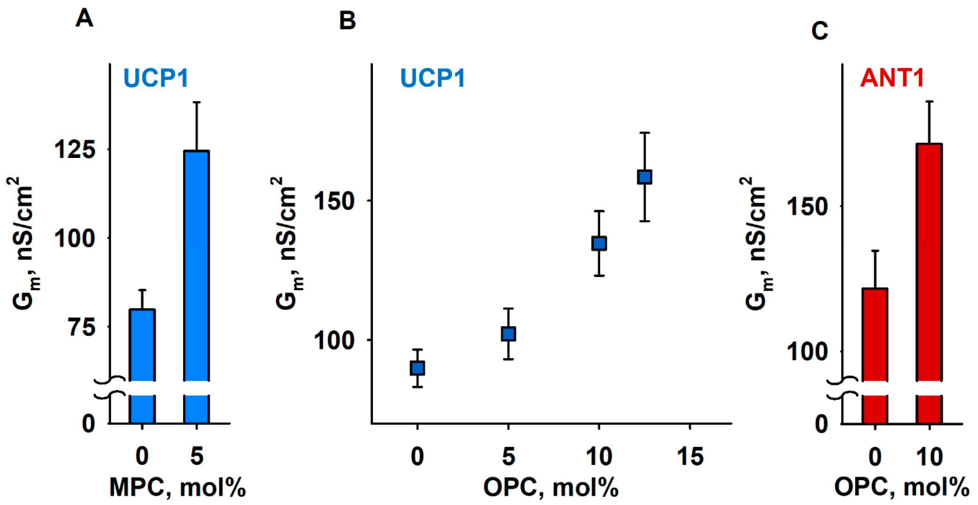 Antioxidants 11 02314 g004 Antioxidants 11 02314 g004