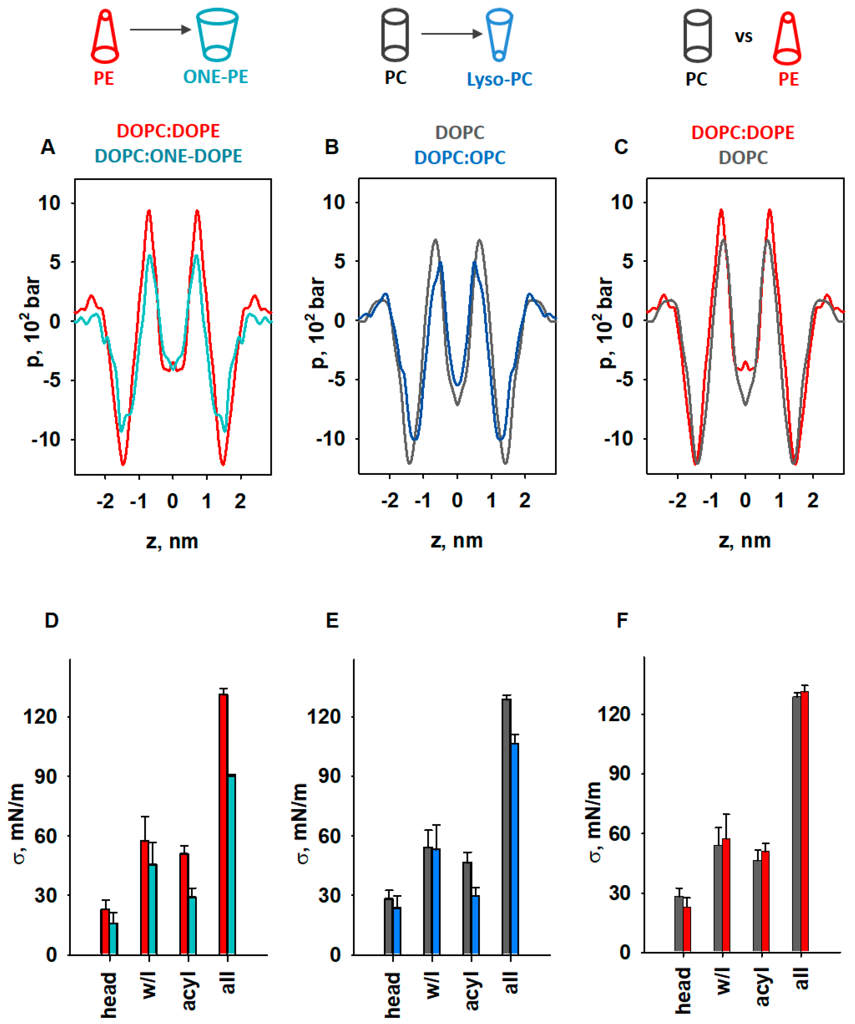 Antioxidants 11 02314 g005 Antioxidants 11 02314 g005