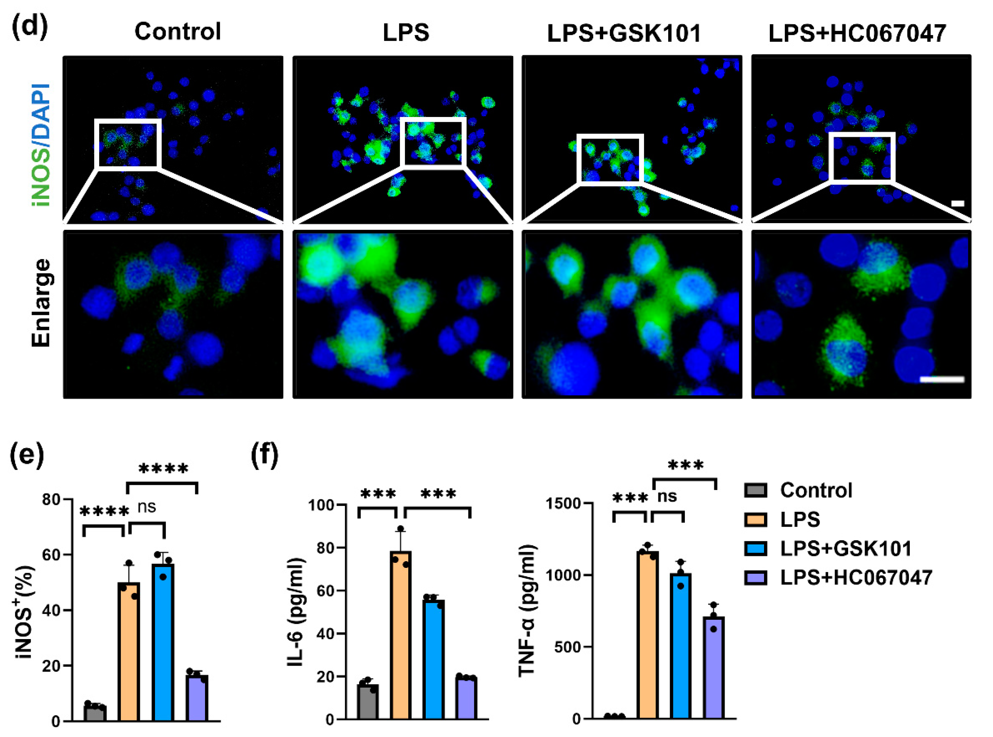Antioxidants 11 02315 g002b