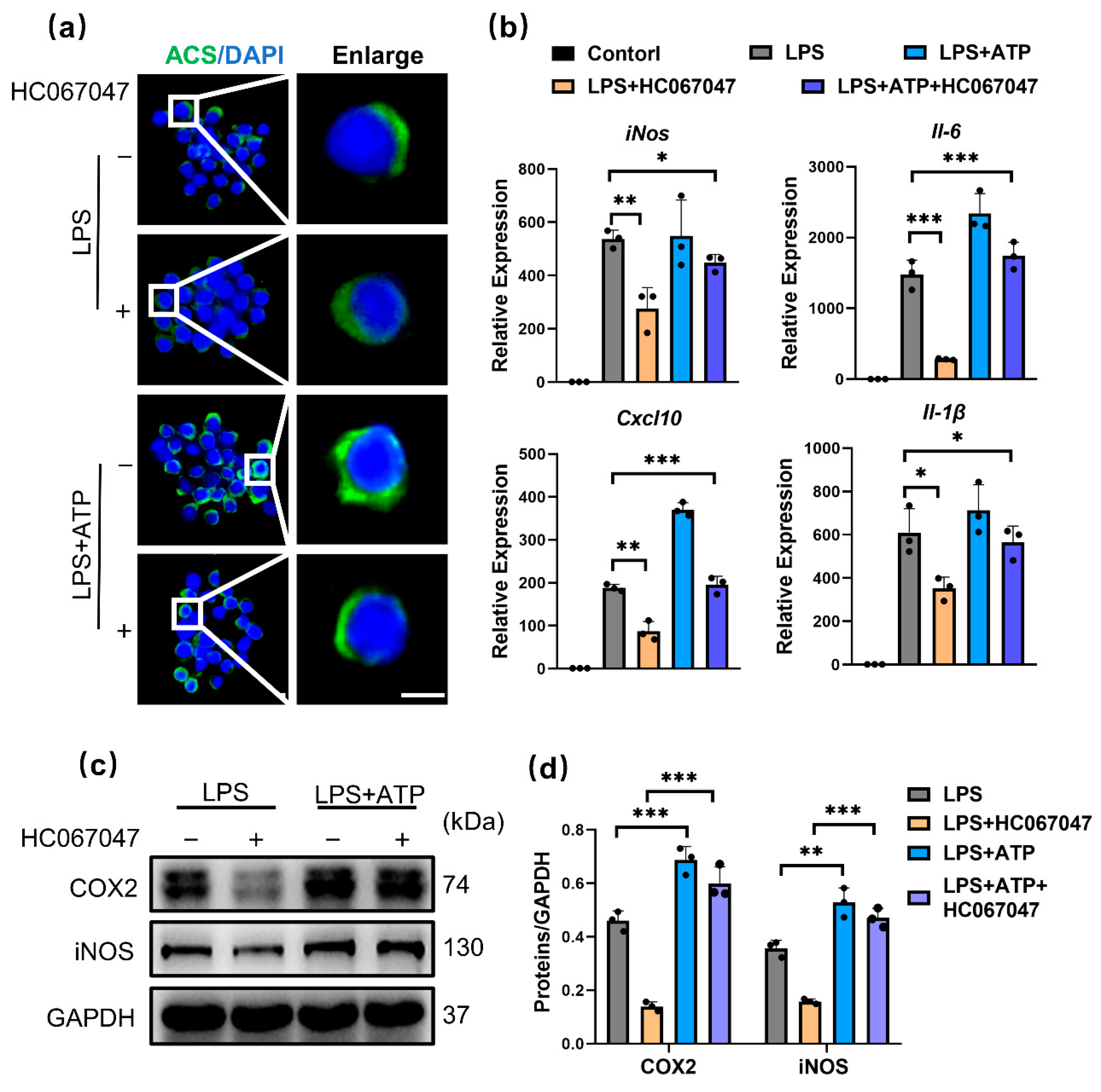 Antioxidants 11 02315 g005
