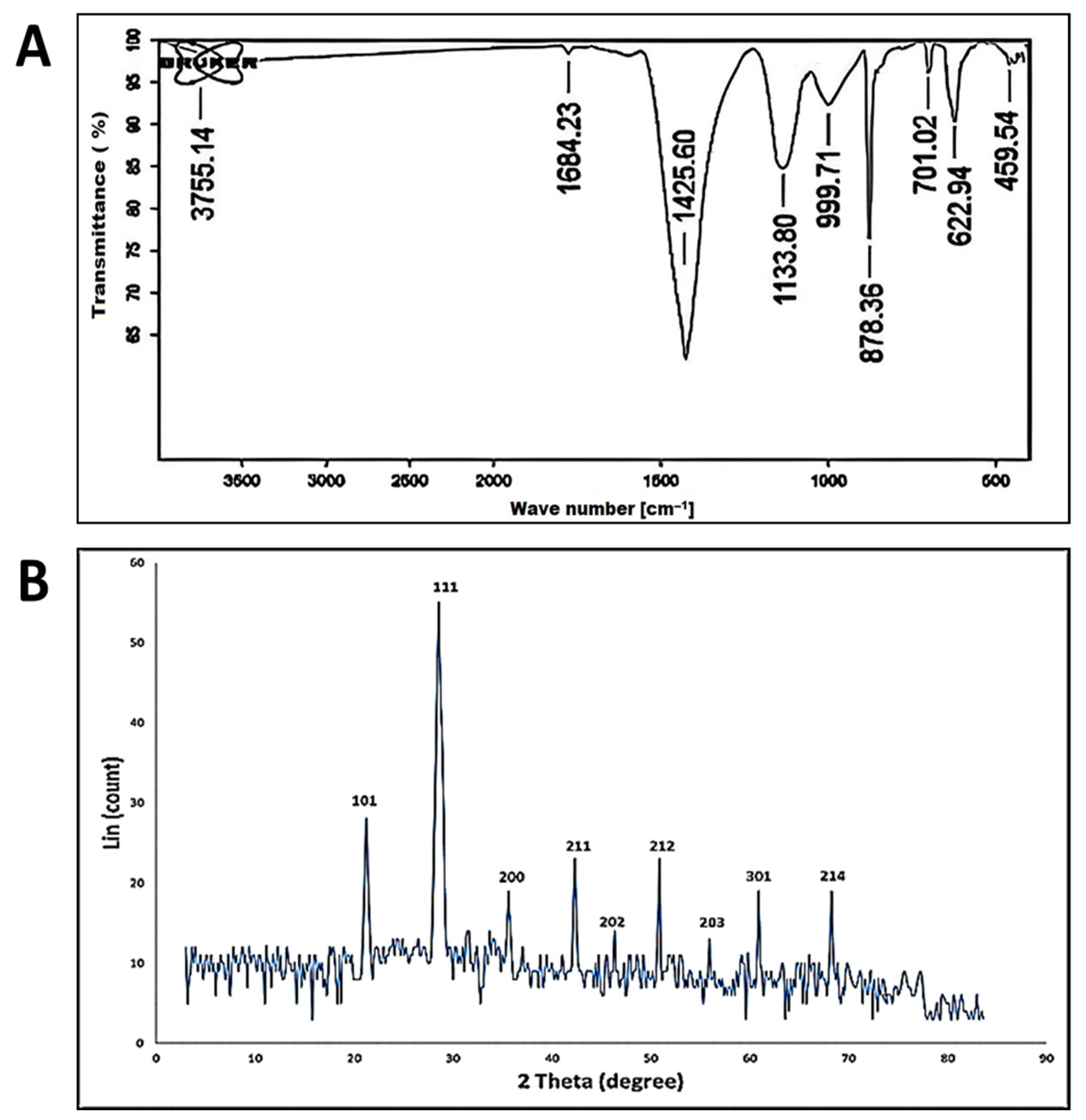 Antioxidants 11 02323 g002 Antioxidants 11 02323 g002