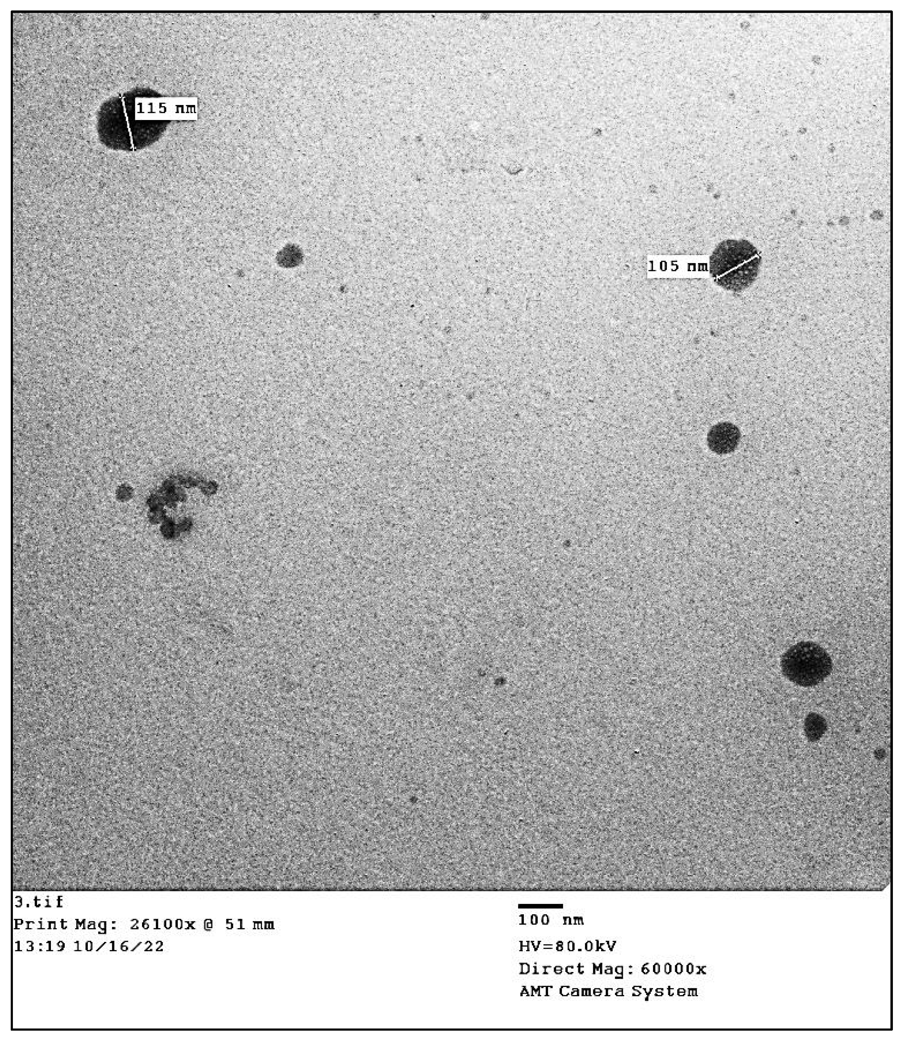 Antioxidants 11 02323 g003 Antioxidants 11 02323 g003