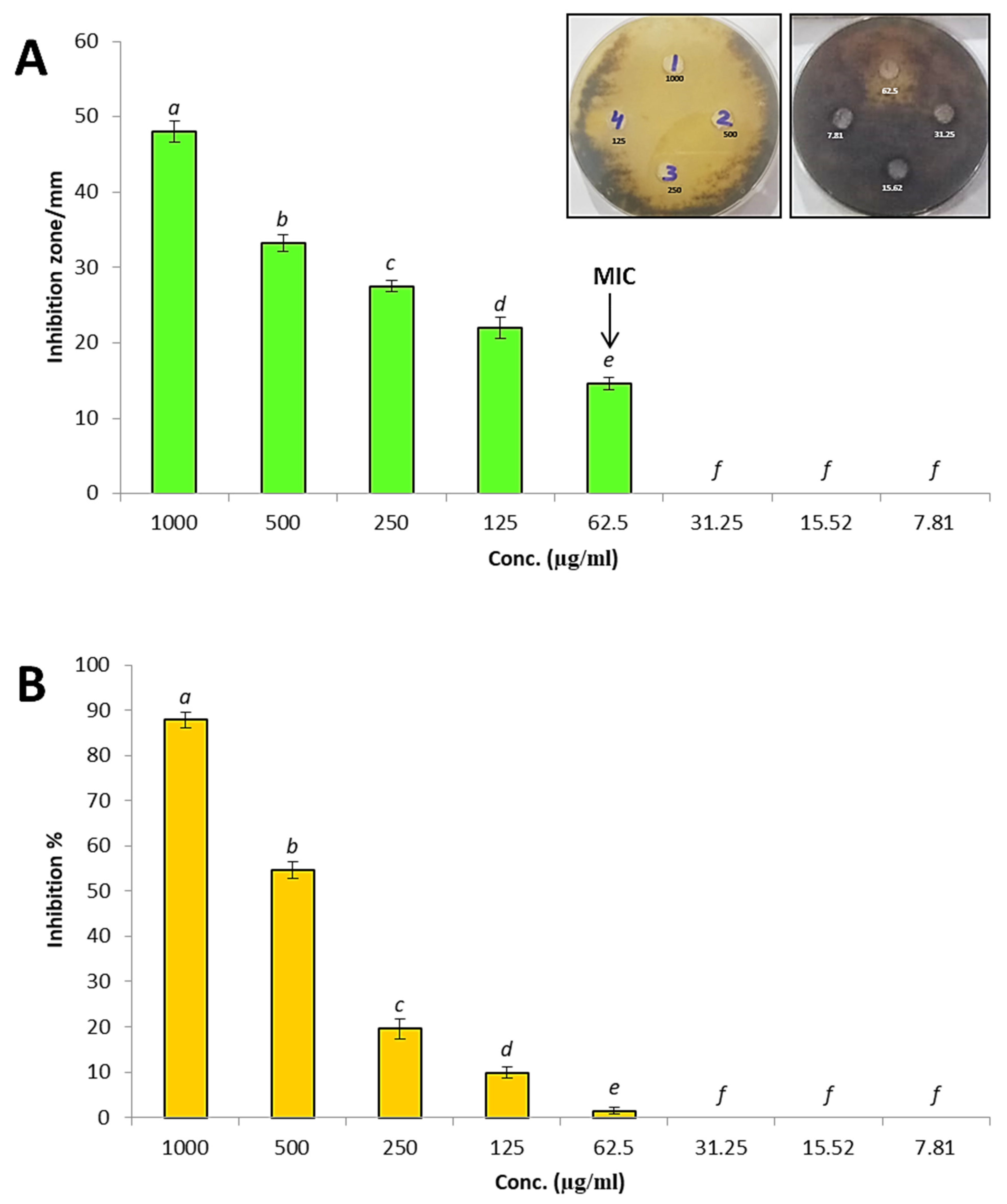 Antioxidants 11 02323 g005 Antioxidants 11 02323 g005