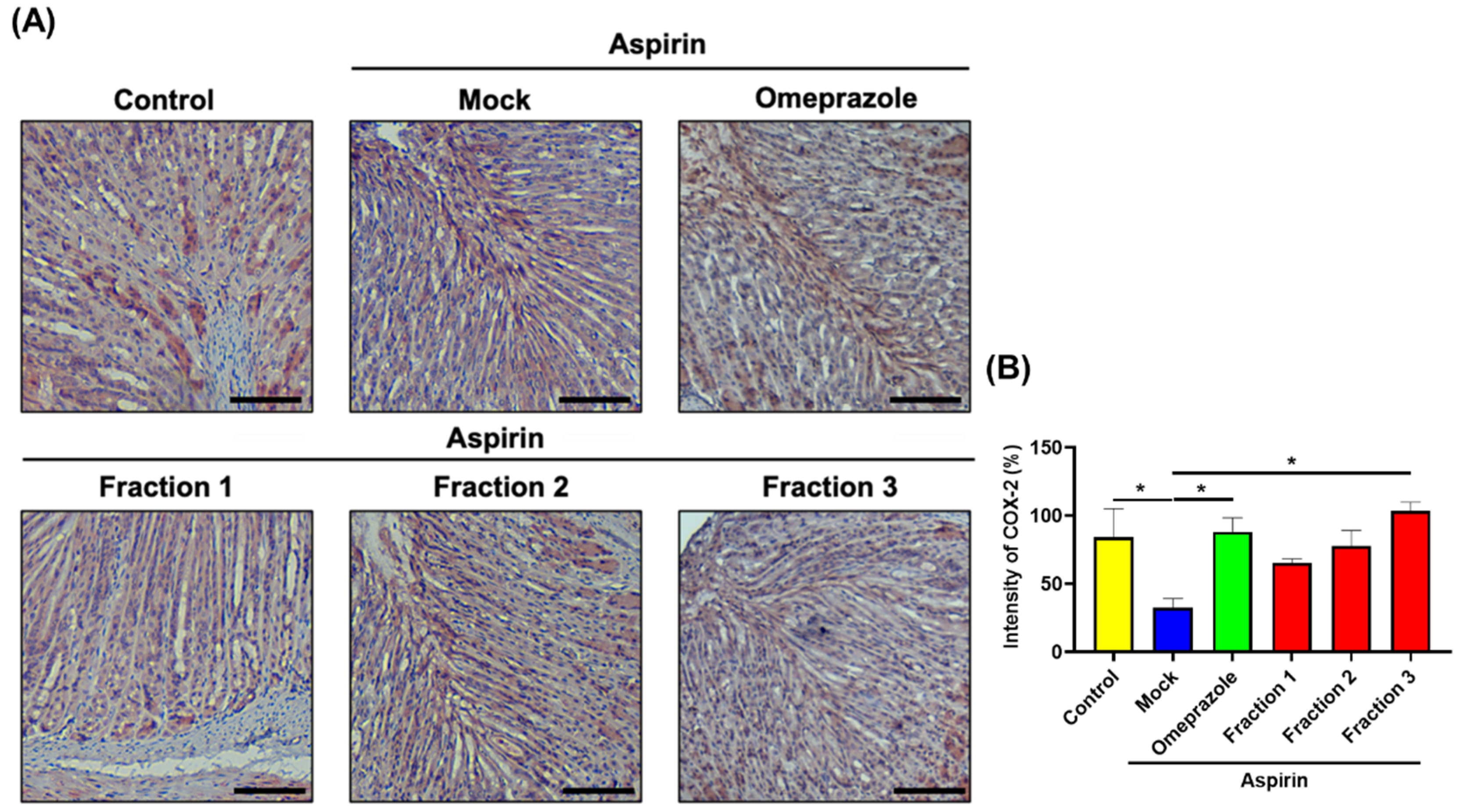 Antioxidants 11 02327 g008