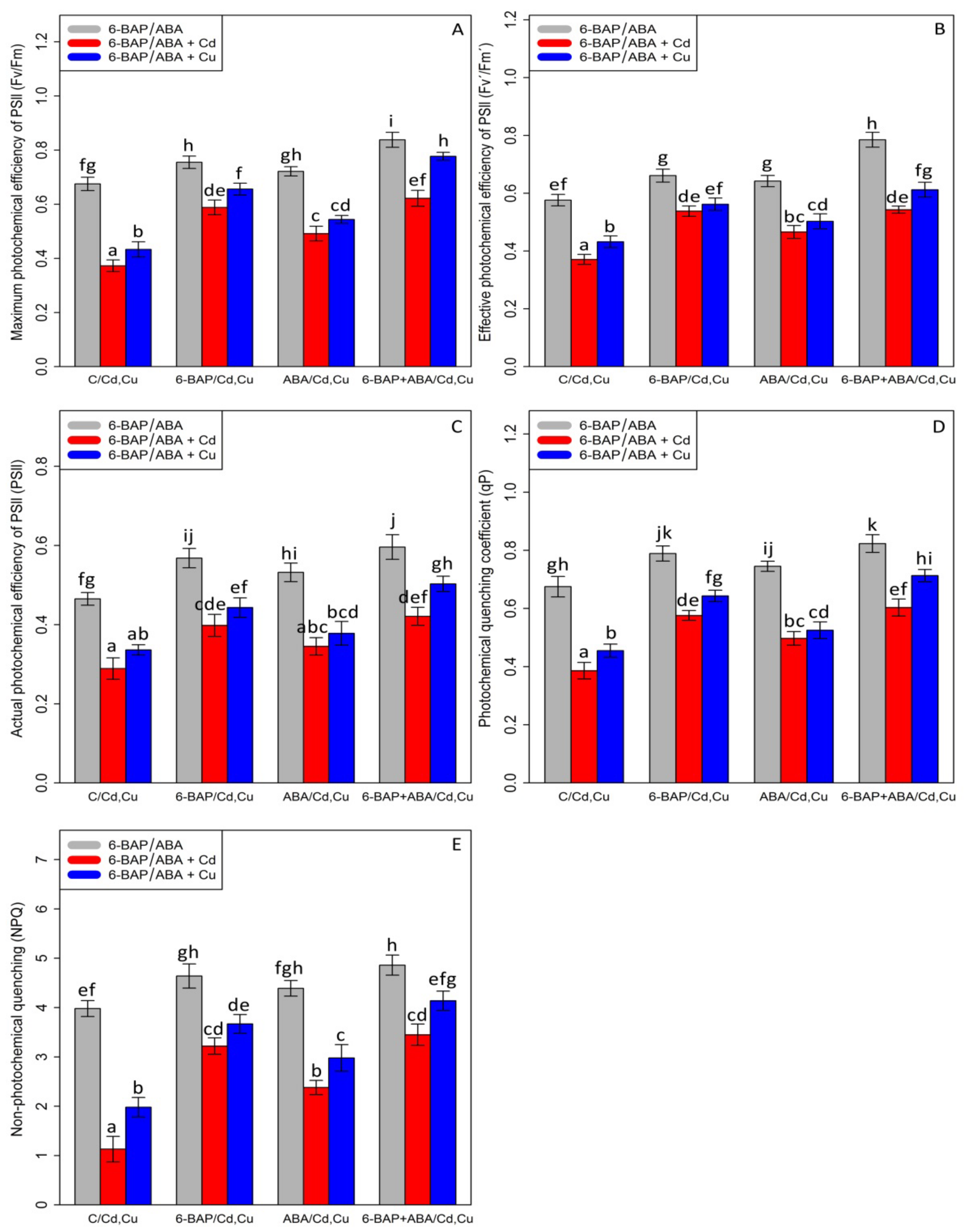 Antioxidants 11 02328 g003 Antioxidants 11 02328 g003