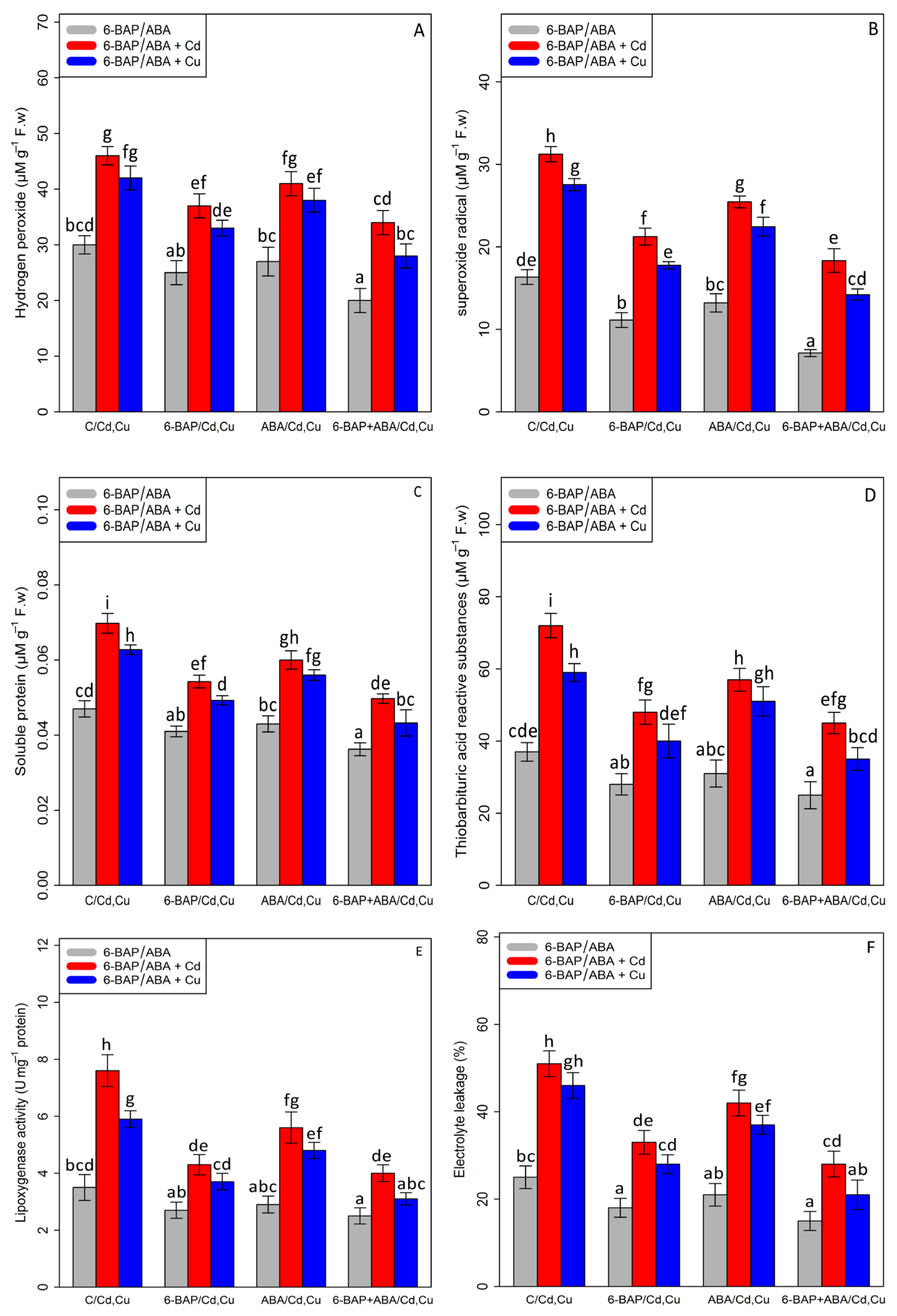Antioxidants 11 02328 g004 Antioxidants 11 02328 g004