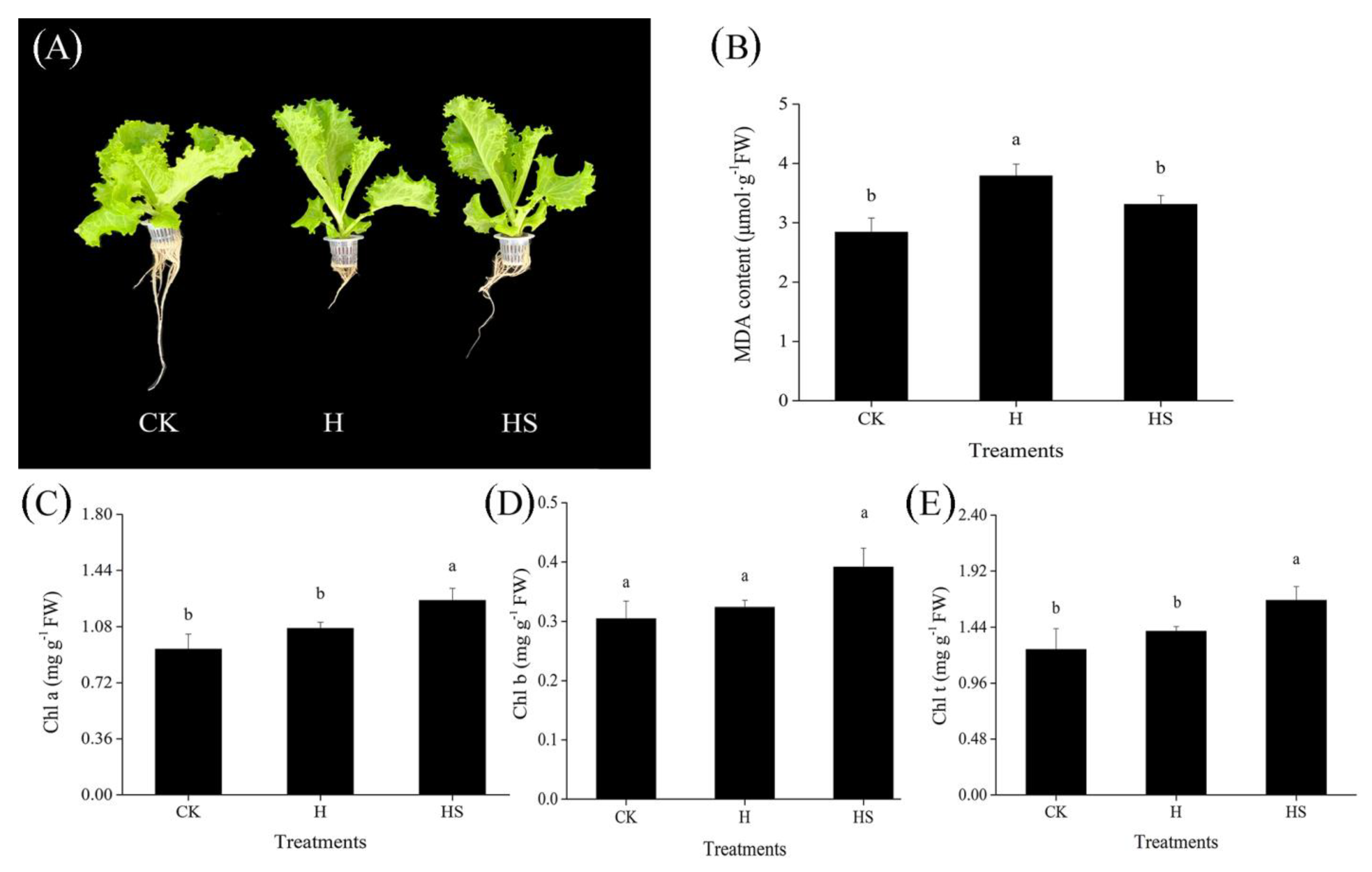 Antioxidants 11 02332 g001 Antioxidants 11 02332 g001