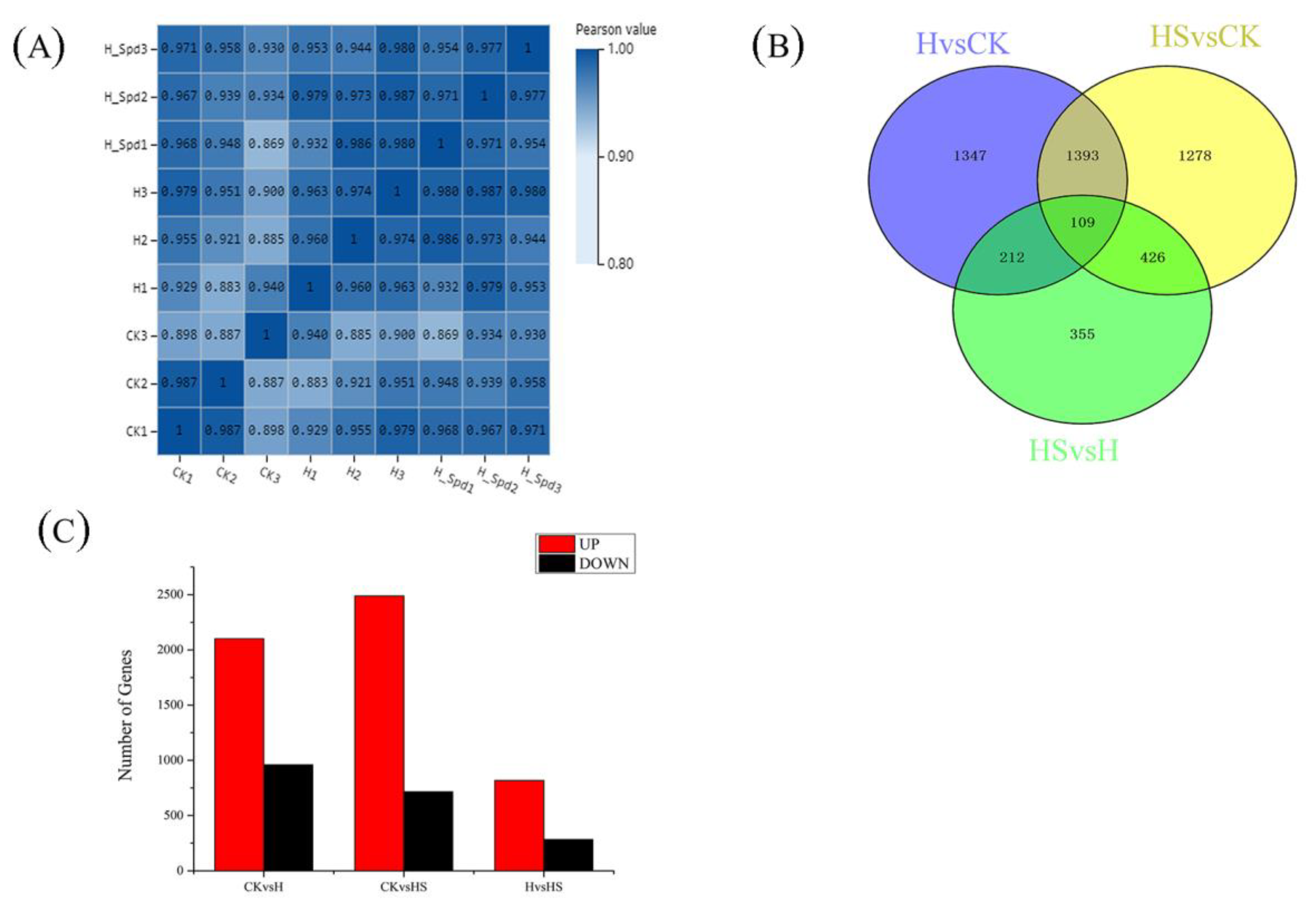 Antioxidants 11 02332 g004 Antioxidants 11 02332 g004