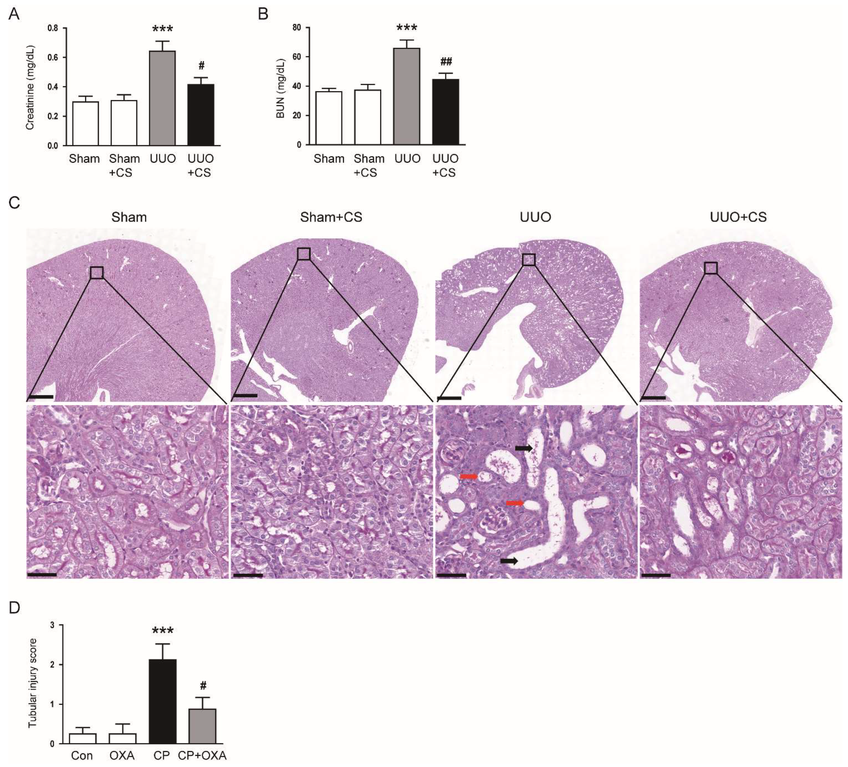 Antioxidants 11 02341 g001