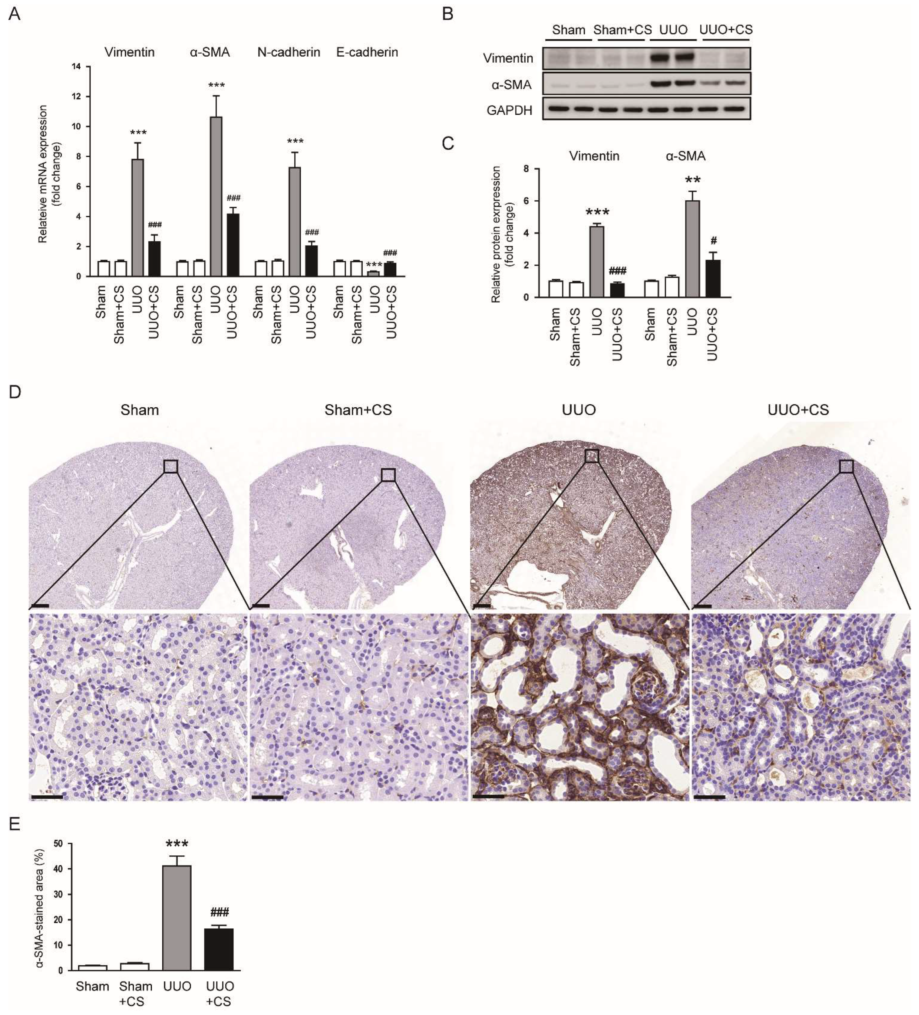 Antioxidants 11 02341 g004