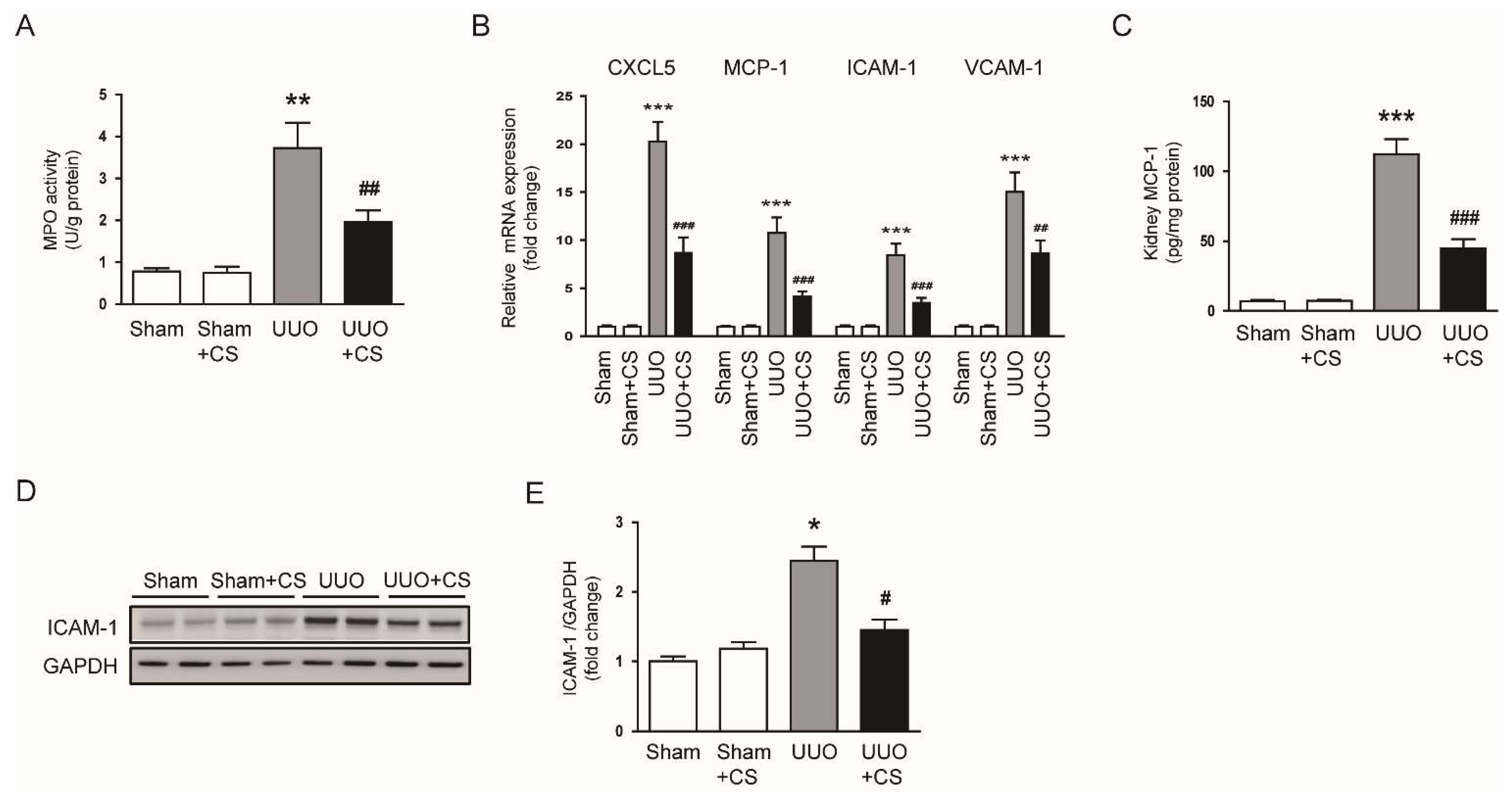 Antioxidants 11 02341 g011