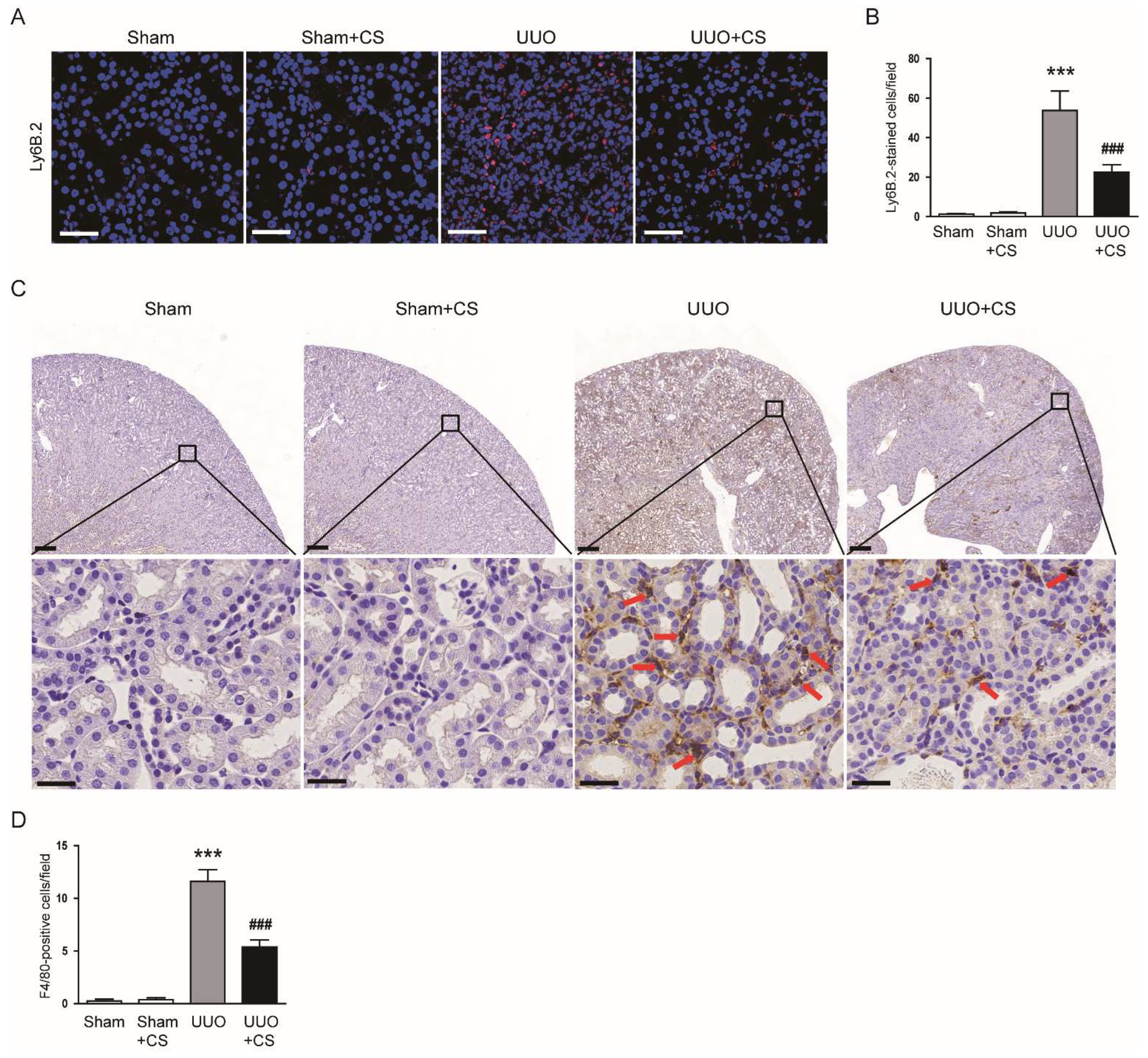 Antioxidants 11 02341 g012
