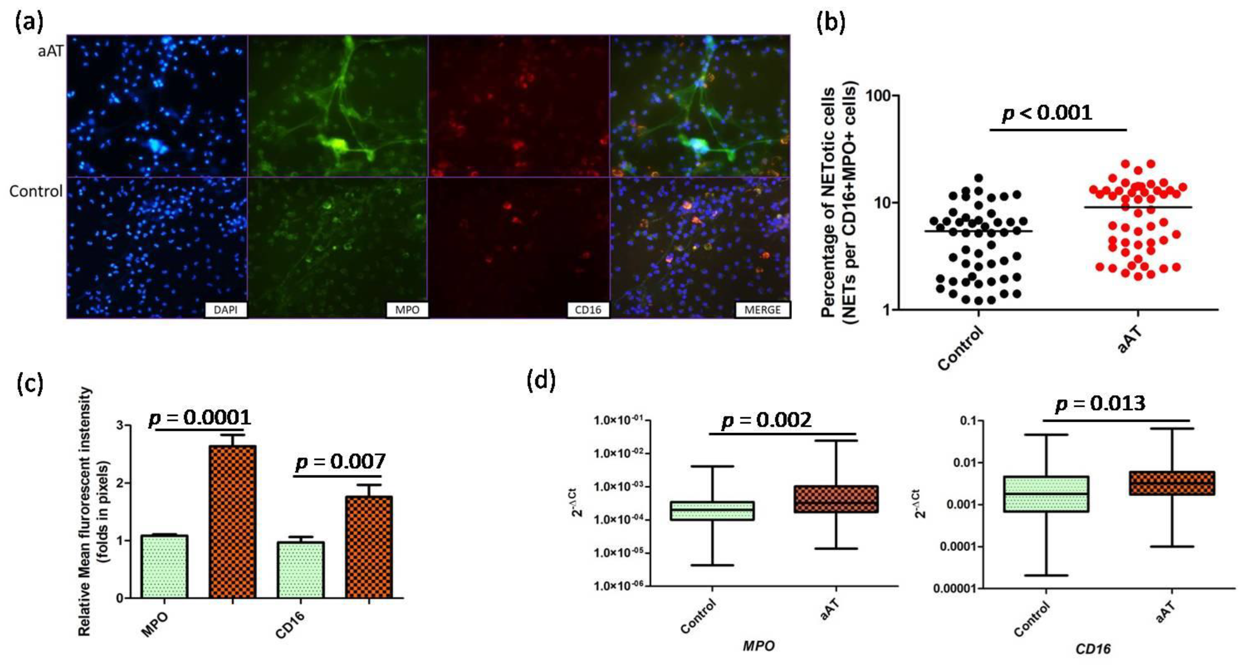 Antioxidants 11 02343 g002 Antioxidants 11 02343 g002