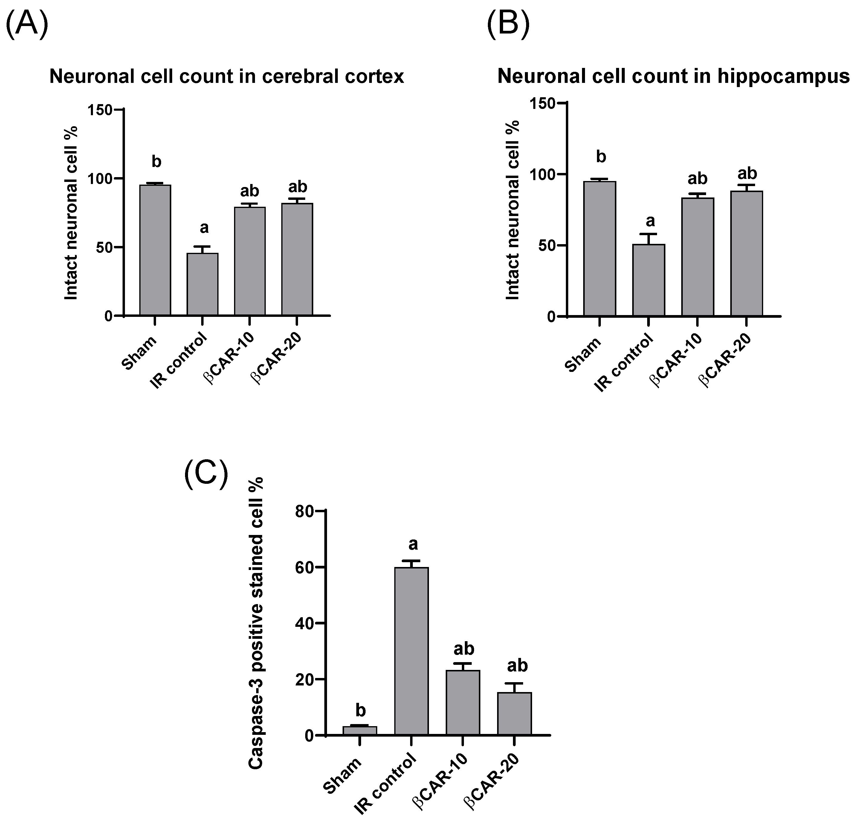 Antioxidants Free FullText Protective Effect of BetaCarotene