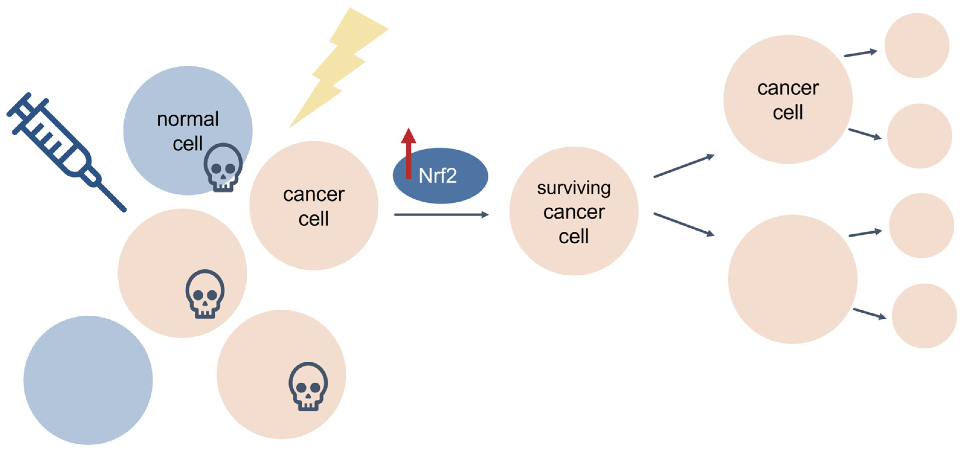 Antioxidants 11 02345 g009 Antioxidants 11 02345 g009