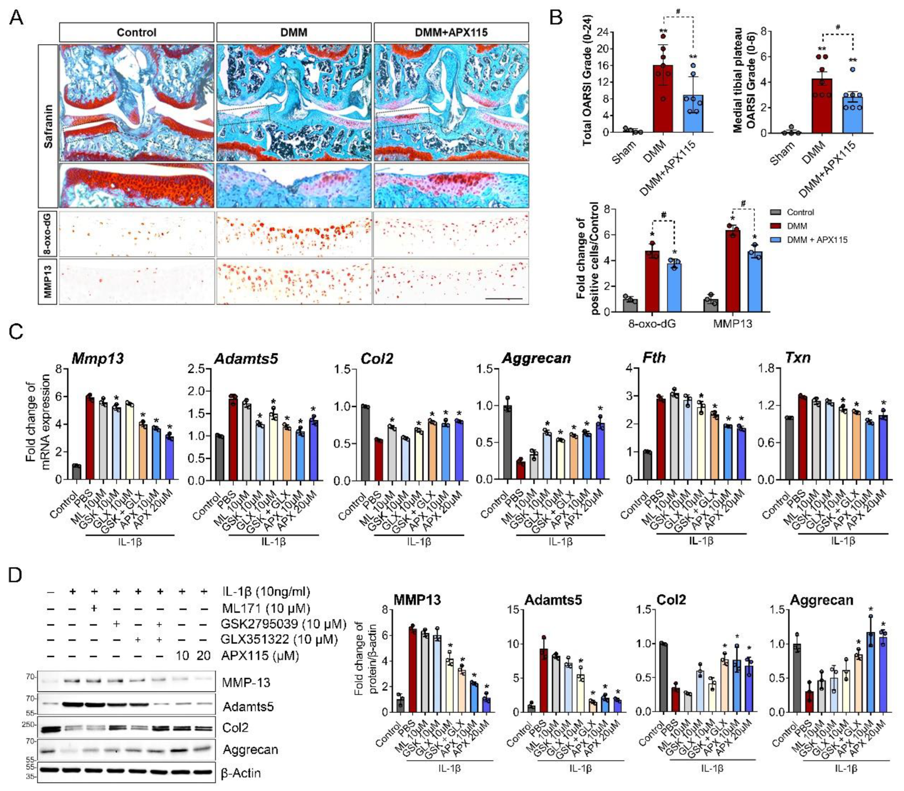 Antioxidants 11 02346 g003 Antioxidants 11 02346 g003