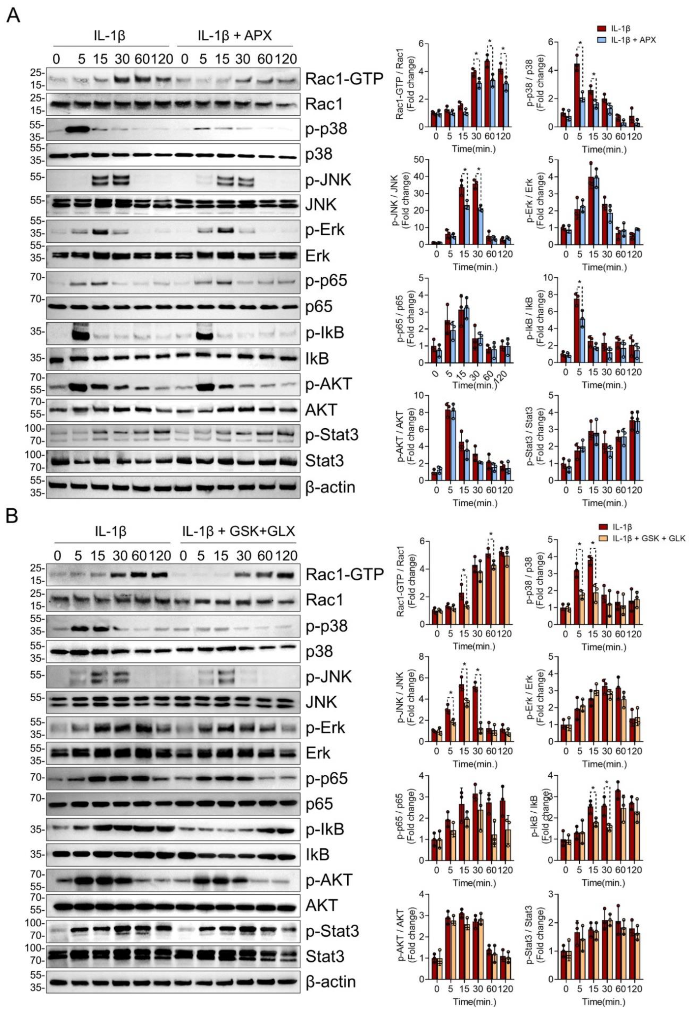 Antioxidants 11 02346 g004 Antioxidants 11 02346 g004