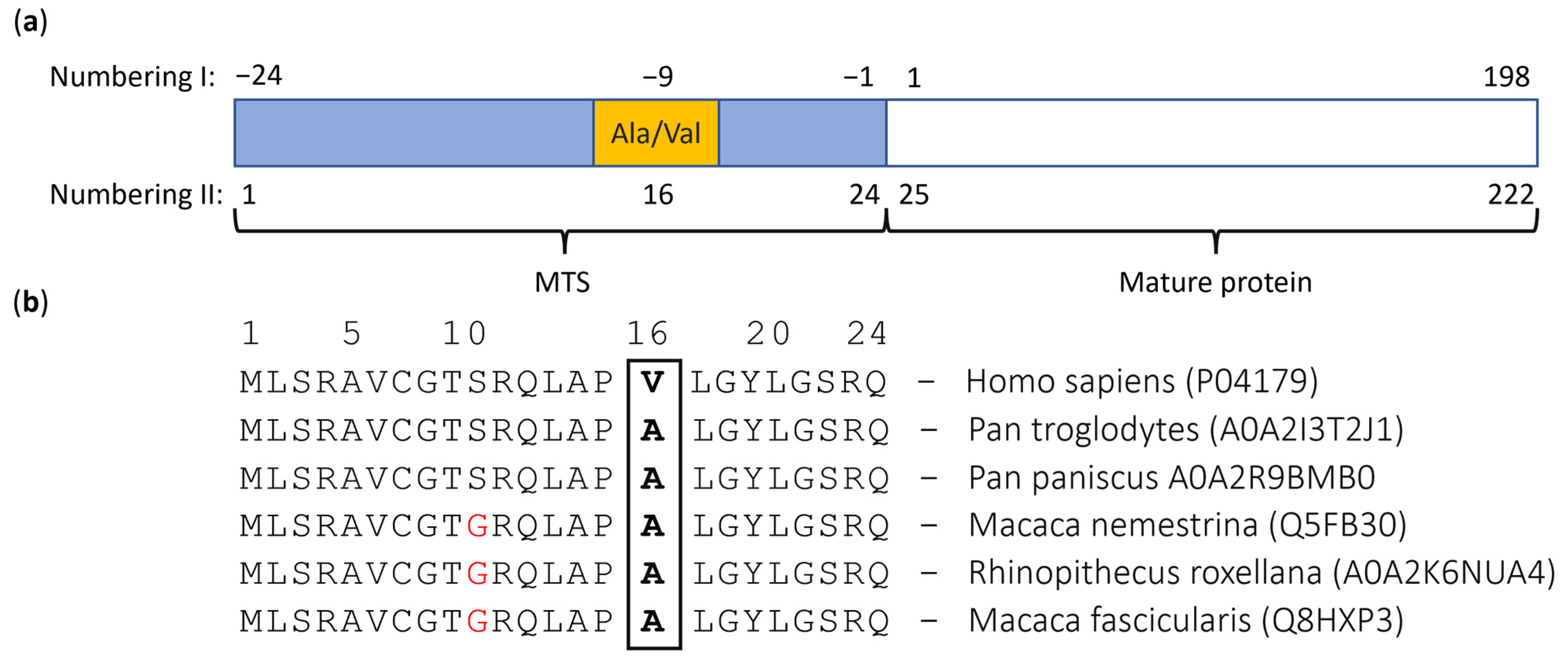 Antioxidants 11 02348 g002