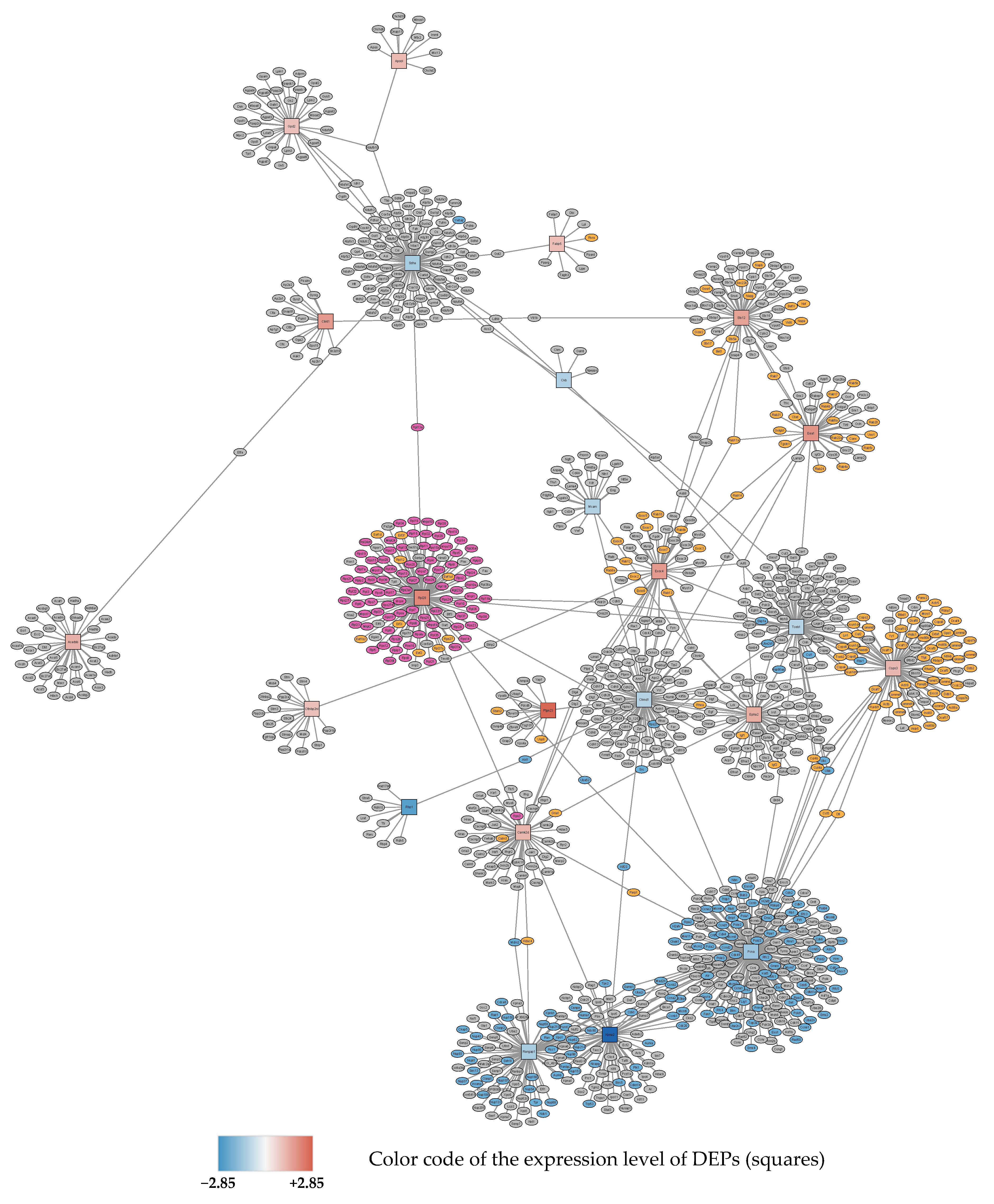 Antioxidants 11 02349 g002 Antioxidants 11 02349 g002