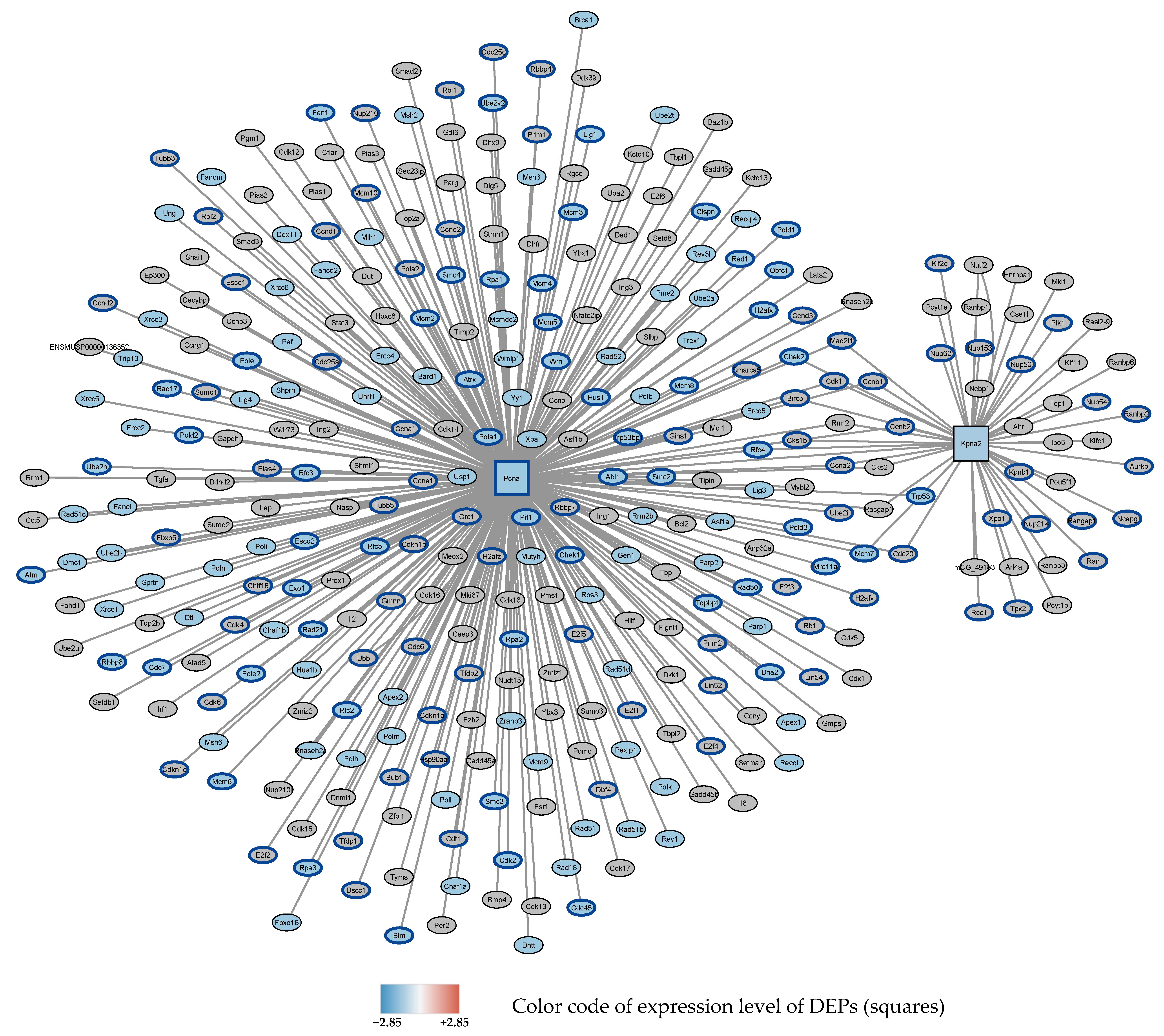 Antioxidants 11 02349 g004 Antioxidants 11 02349 g004