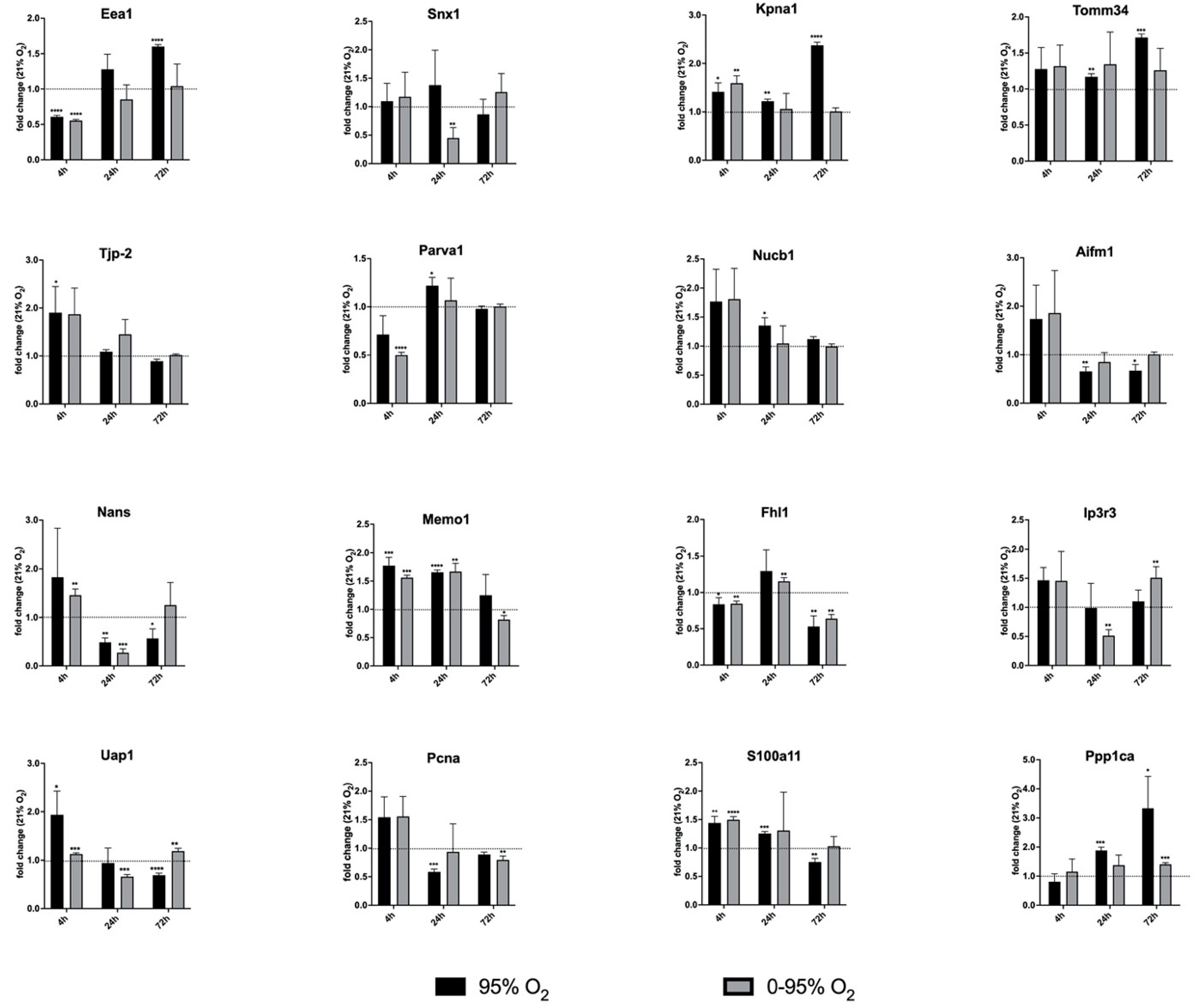 Antioxidants 11 02349 g005 Antioxidants 11 02349 g005
