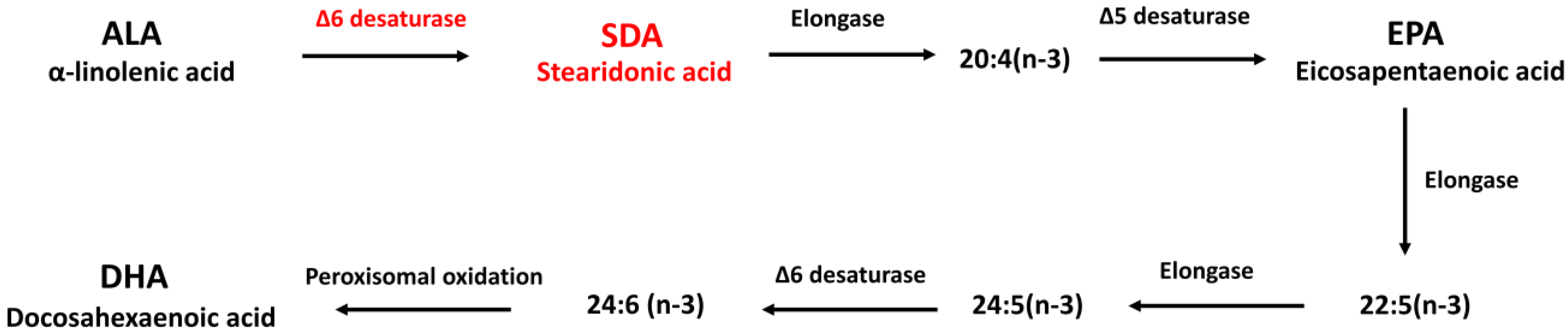 Antioxidants 11 02357 g001 Antioxidants 11 02357 g001