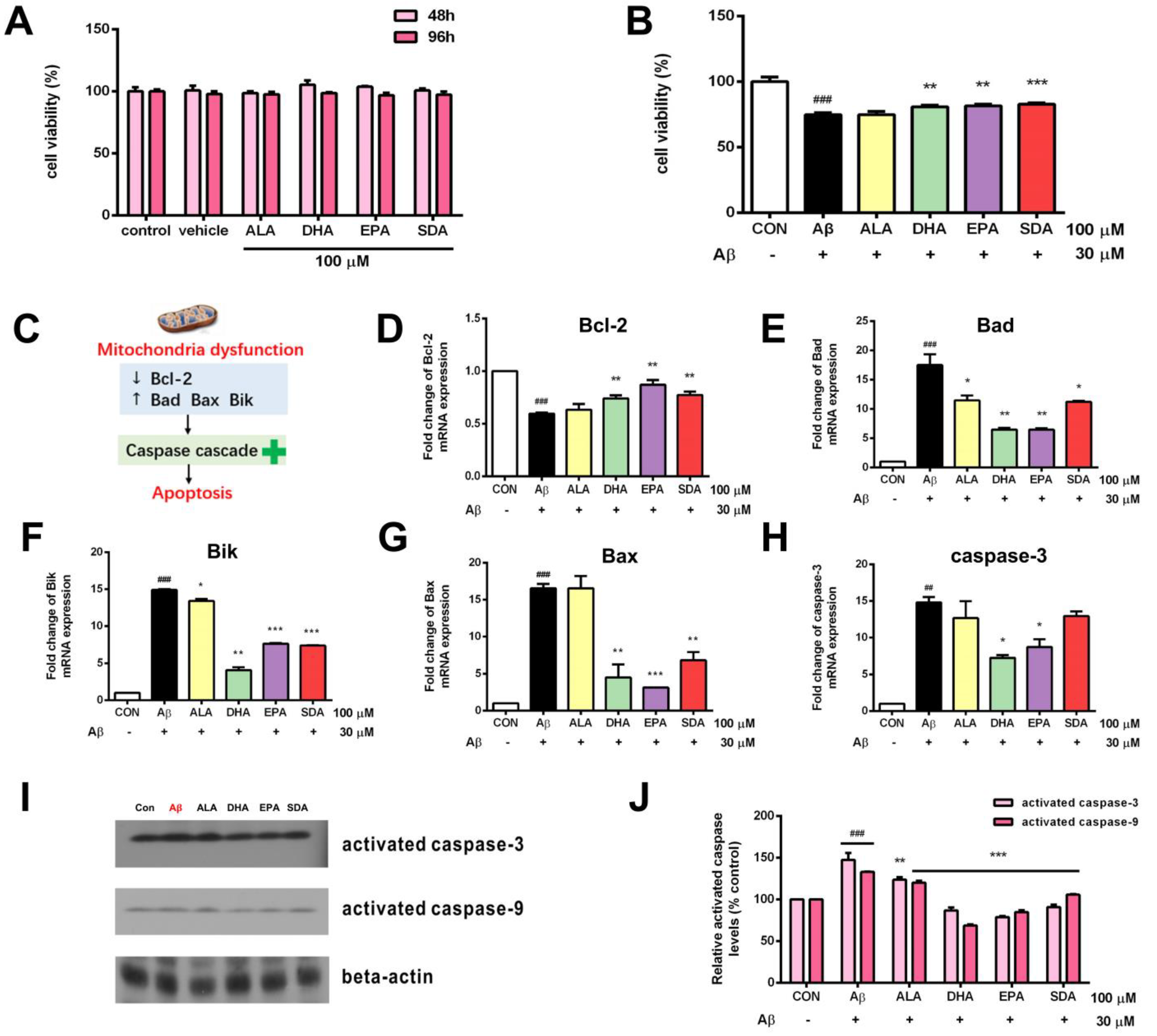 Antioxidants 11 02357 g003 Antioxidants 11 02357 g003