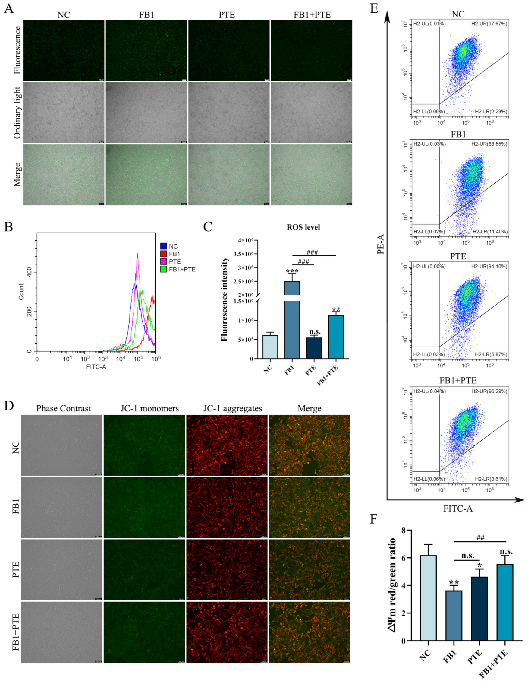 Antioxidants 11 02360 g005